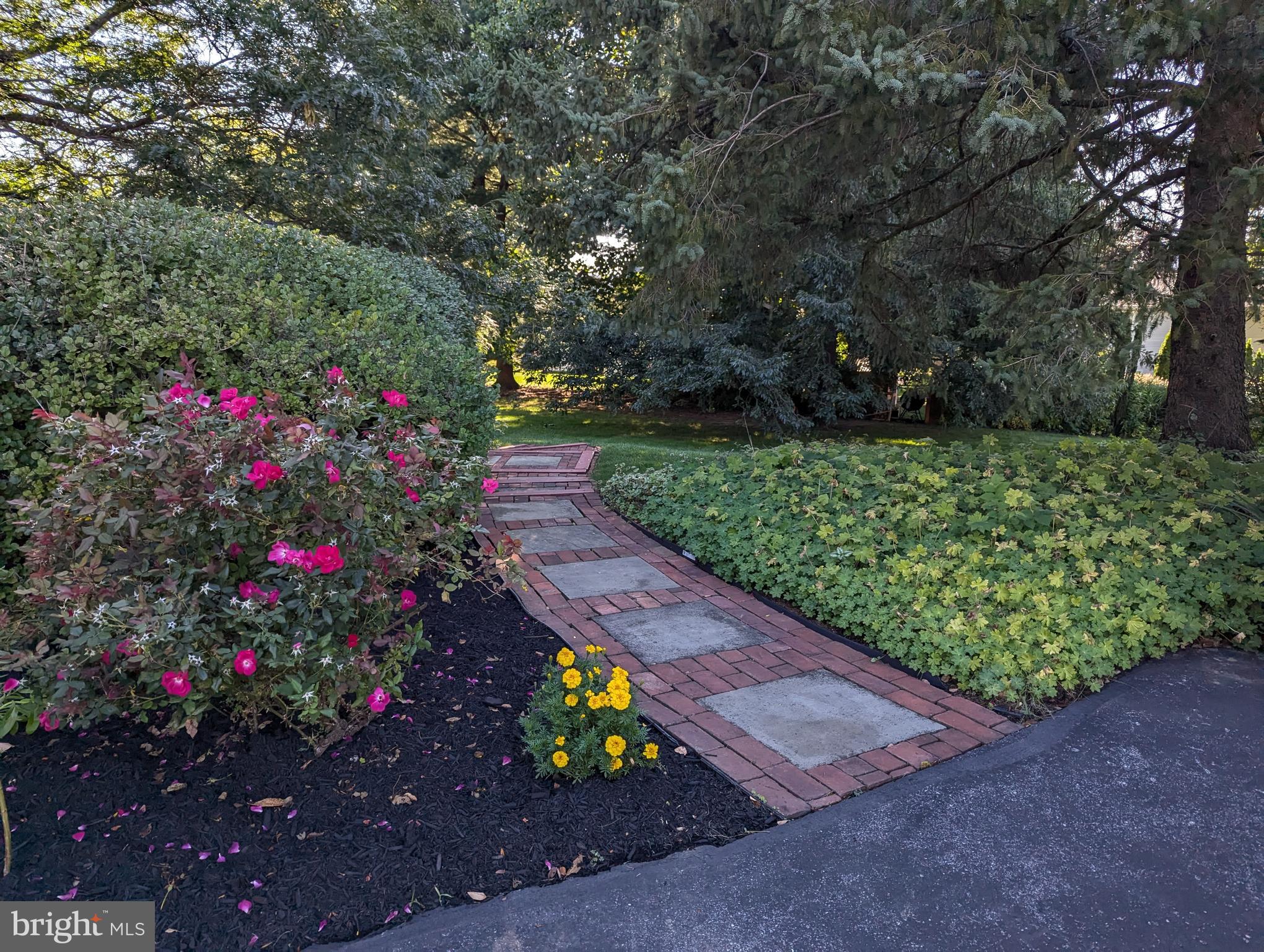 PARK FOREST VILLAGE - Residential