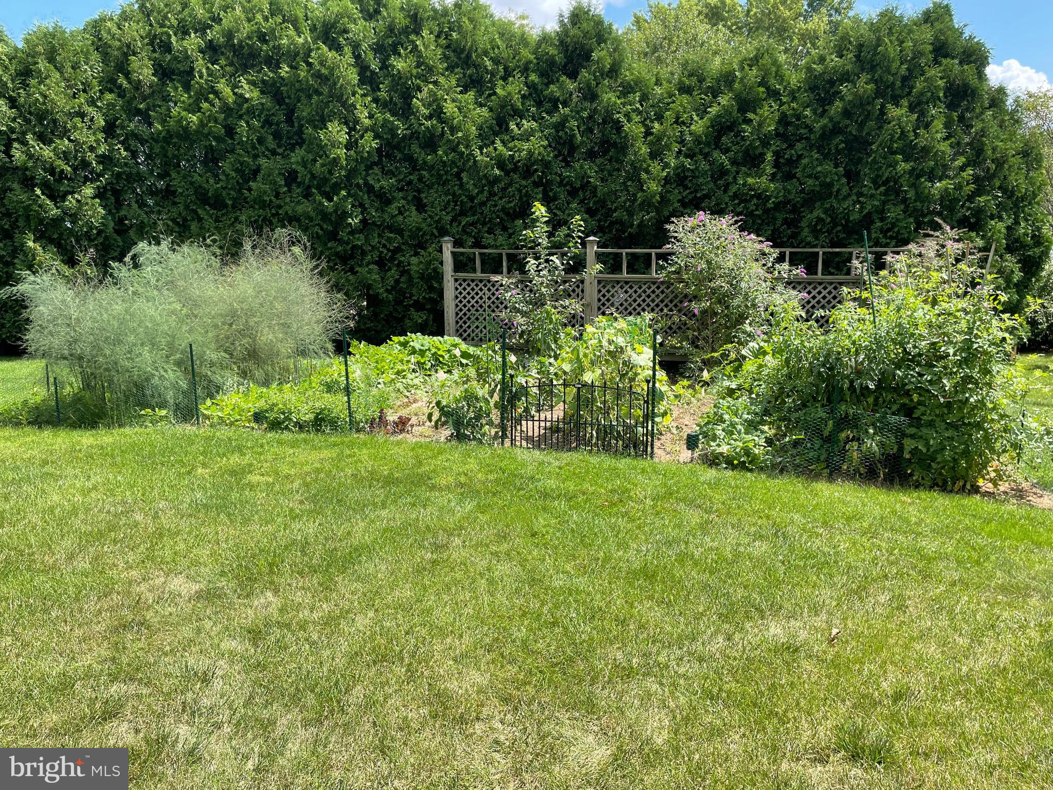 PARK FOREST VILLAGE - Residential