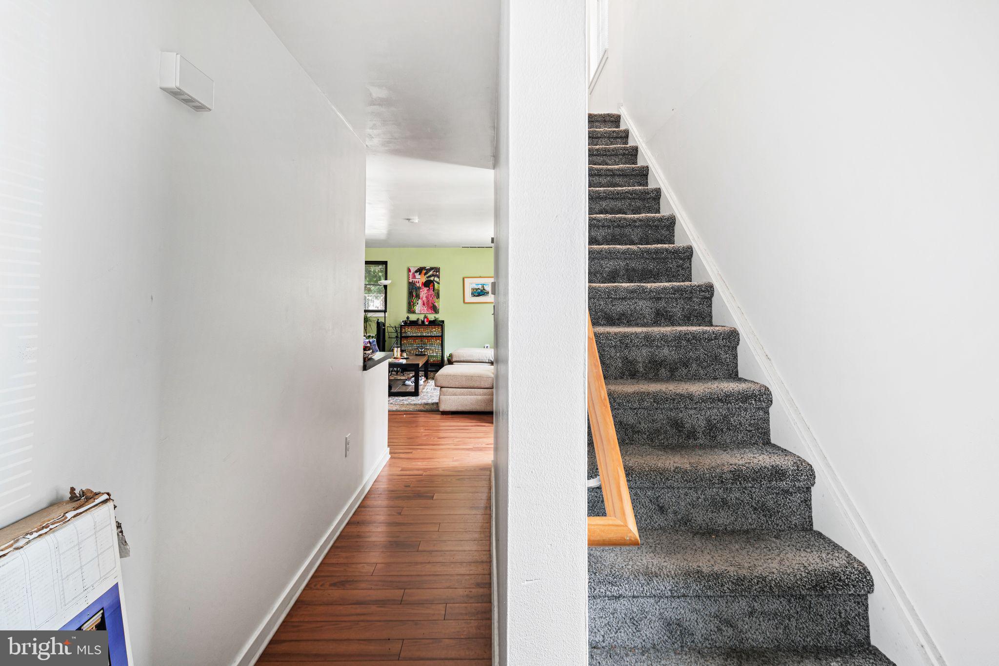 SOUTH KENSINGTON - Residential