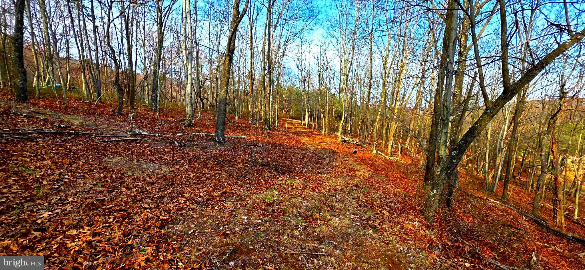 TOP OF THE MOUNTAIN - Residential