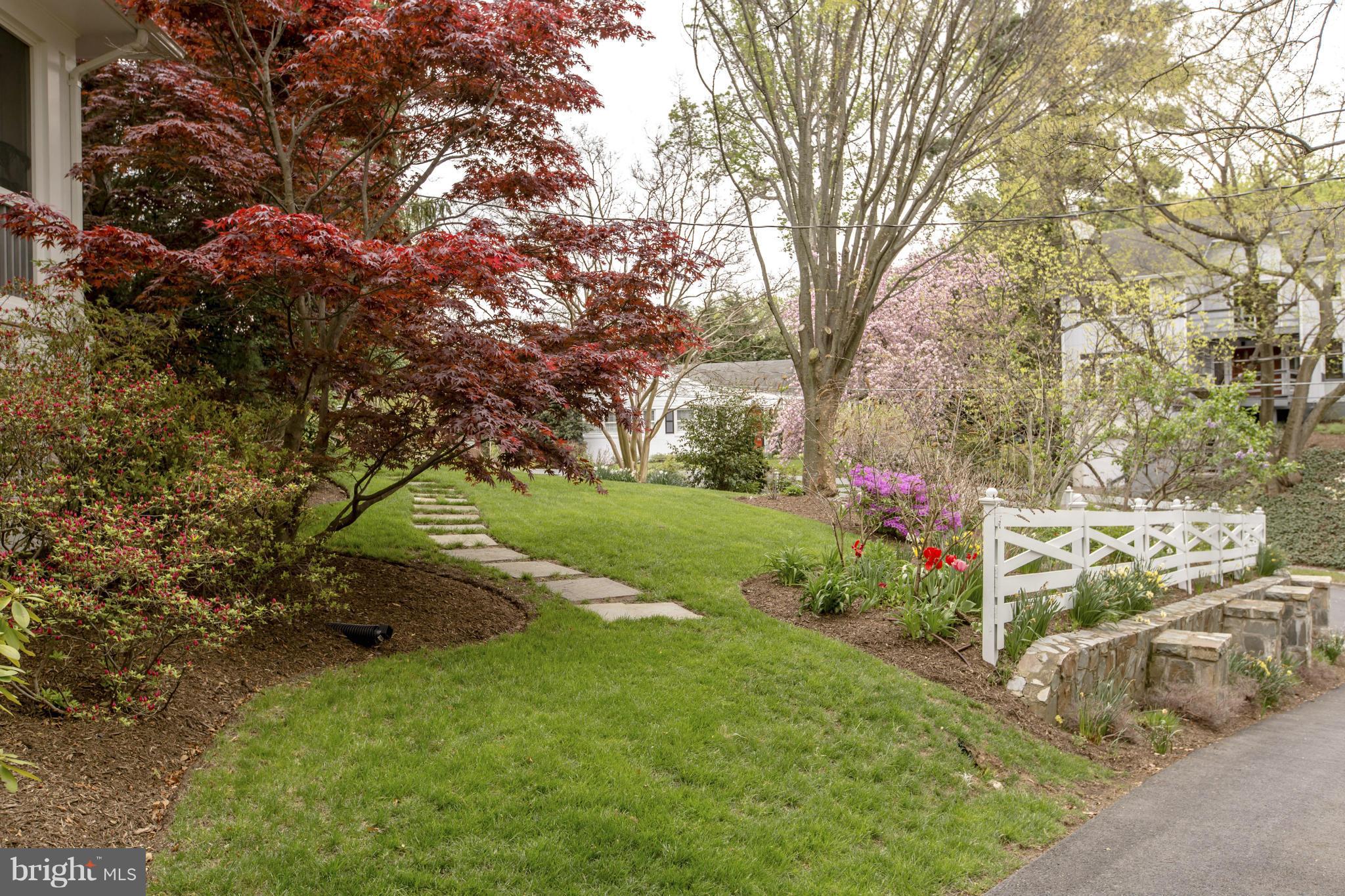 FOREST HILLS - Residential