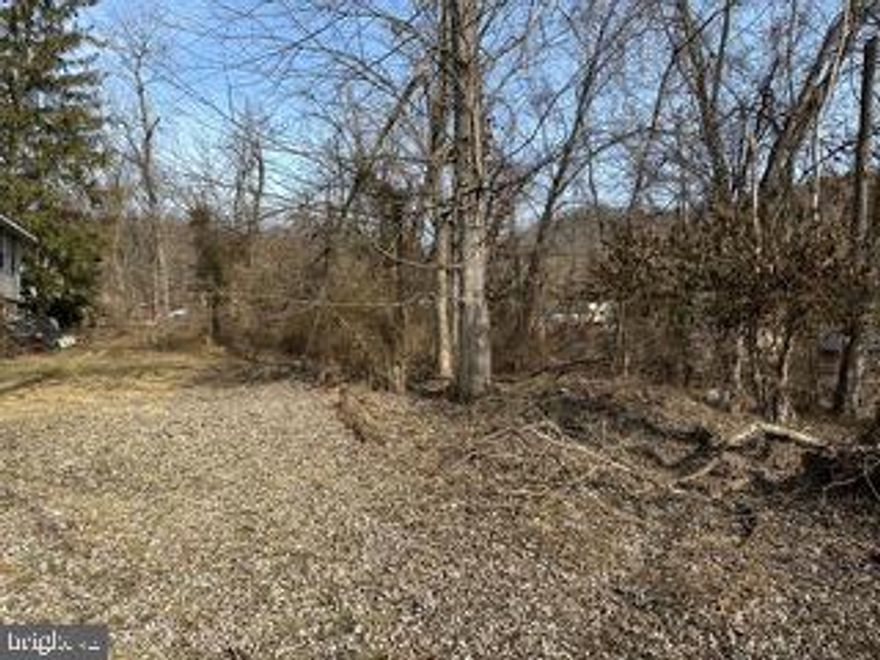 CHESAPEAKE AVE., MCCOOLE, MD – (LOTS 37 & 38) VACANT LEVEL LOTS EQUALING 0.31 ACRES +/- .   PUBLIC WATER AND SEWER ON PROPERTY, CLOSE TO US RTE 220 AND READY FOR THAT NEW HOME OR BUSINESS.  ONLY MINUTES FROM SHOPPING, RESTAURANTS,  CHURCHES,  SCHOOLS,  ETC.  CALL  FOR VIEWING.  REASONABLY PRICED AT ONLY $28,500.00.
