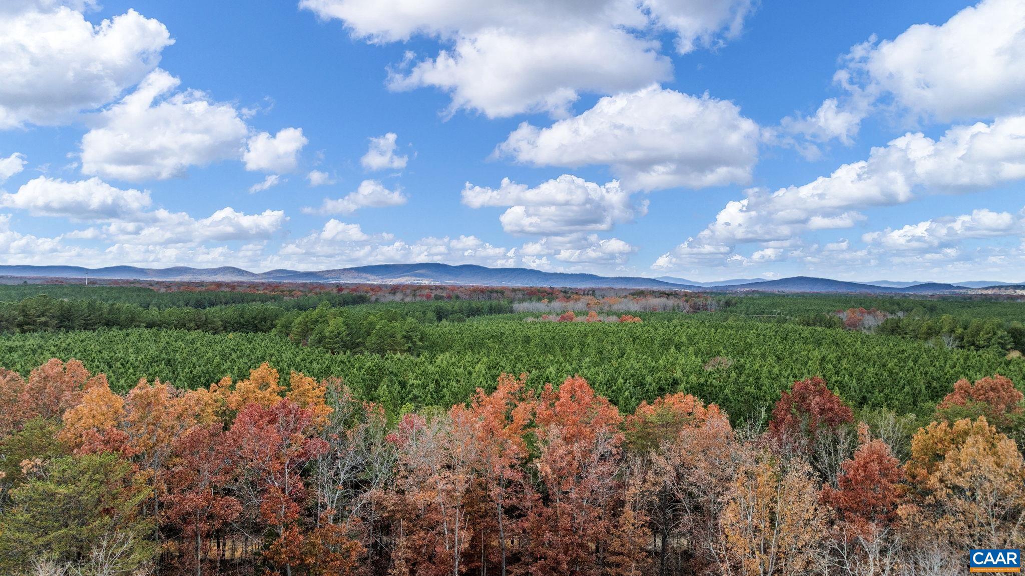 SHENANDOAH CROSSING - Land
