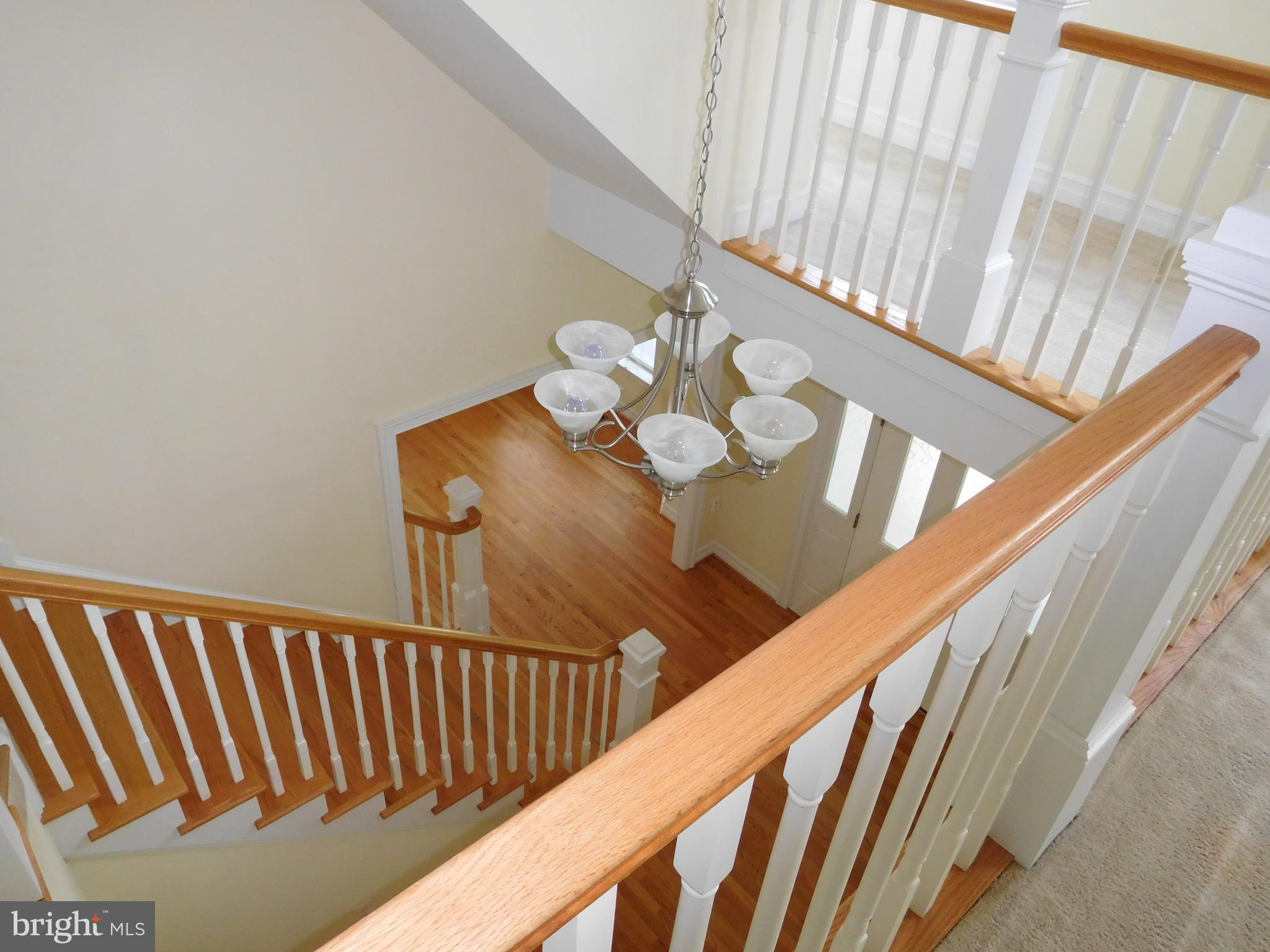 ELLISON HEIGHTS - Residential Lease