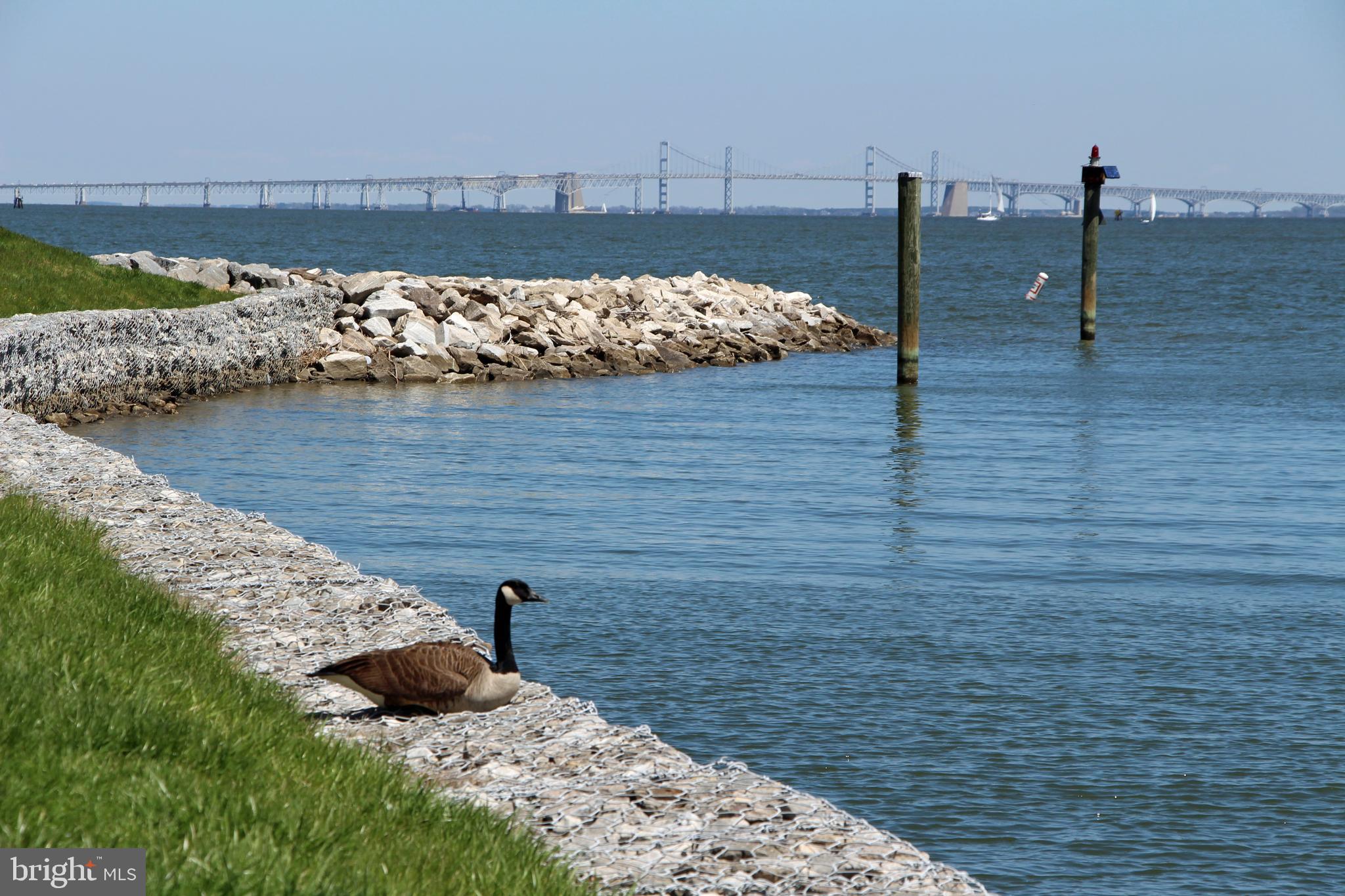 CHESAPEAKE HARBOUR - Residential