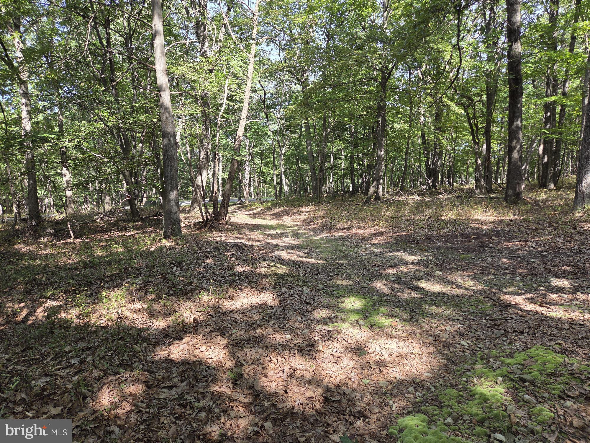 STONE GATE WOODS - Land