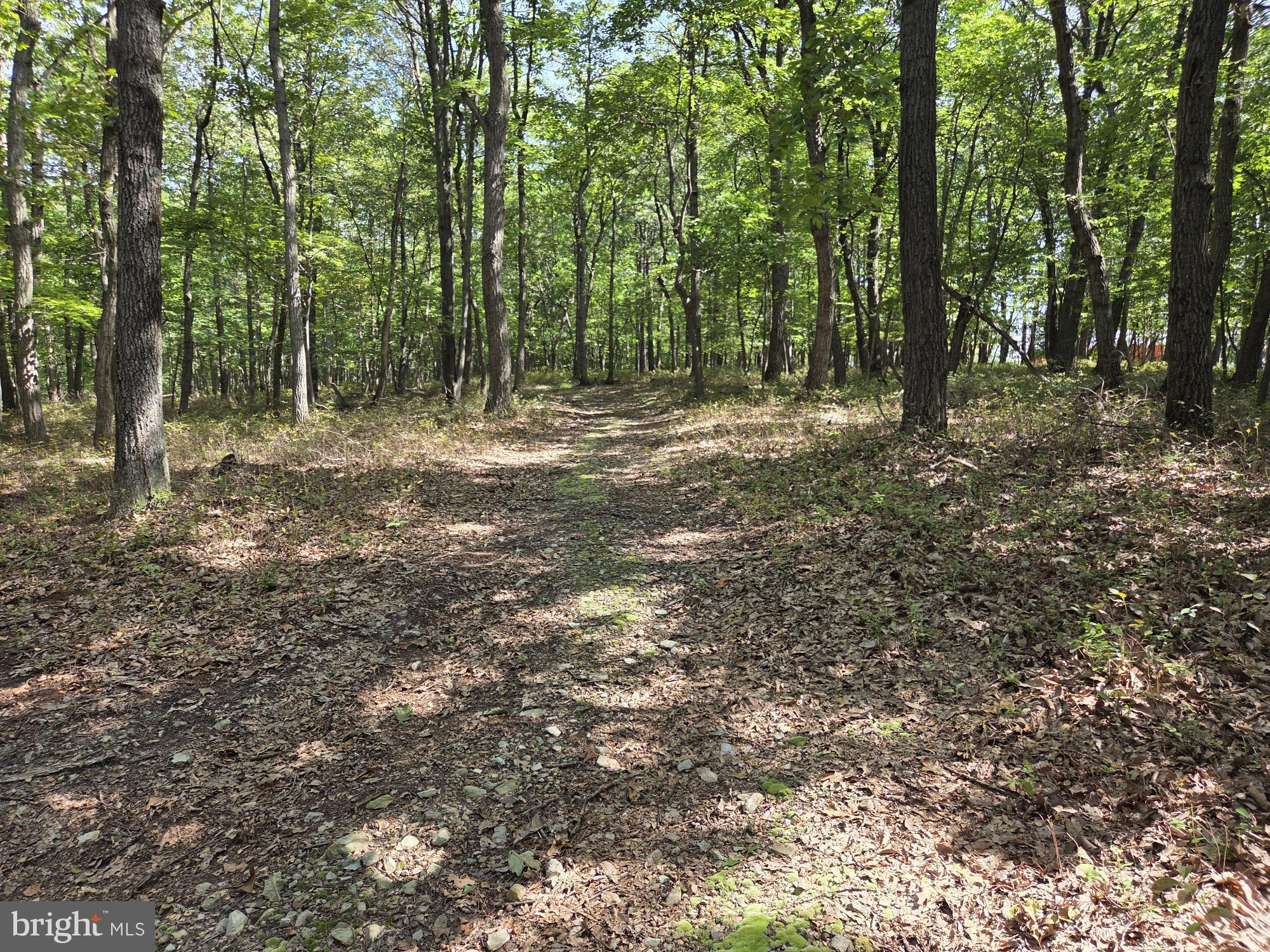 STONE GATE WOODS - Land