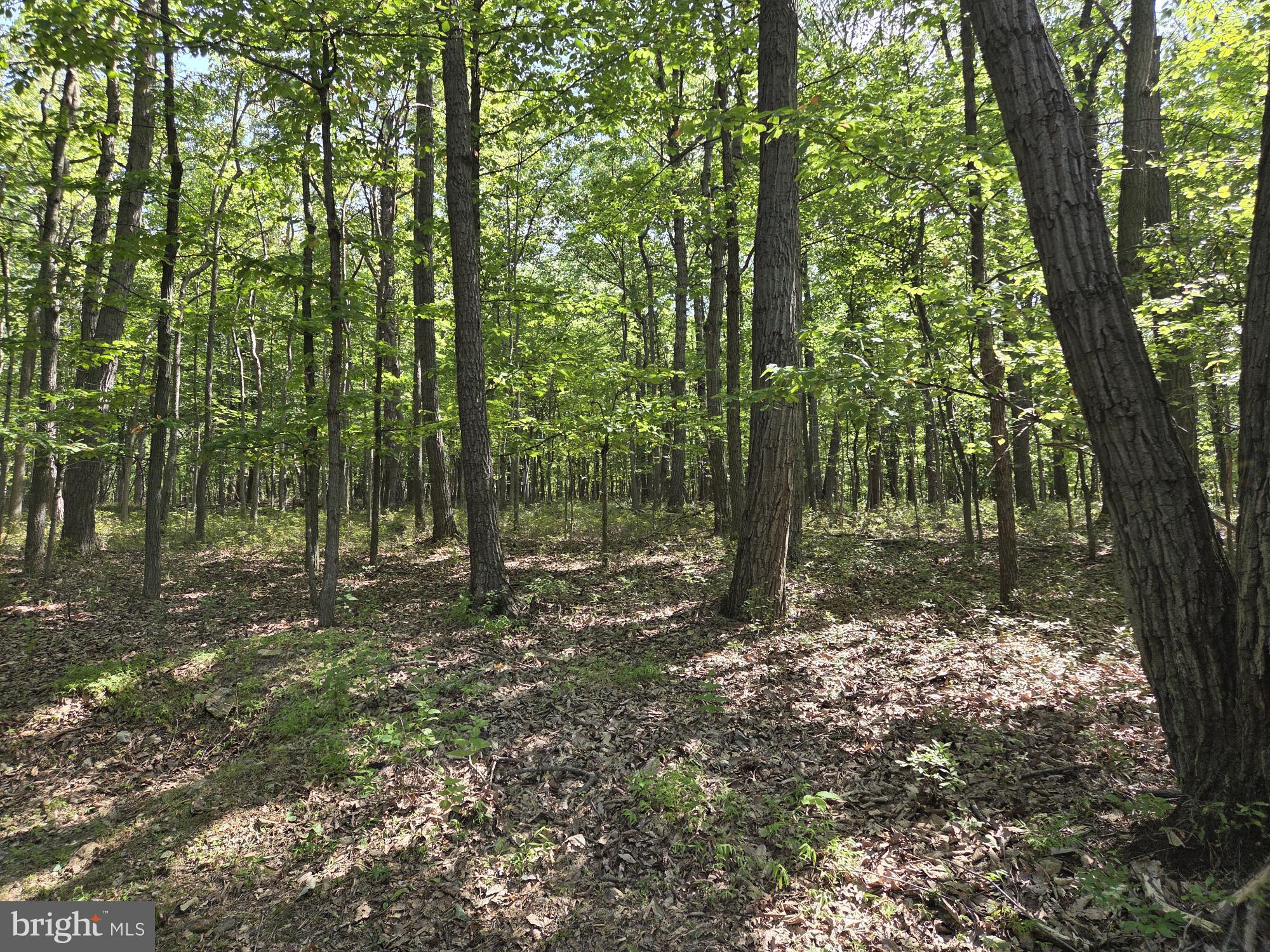 STONE GATE WOODS - Land