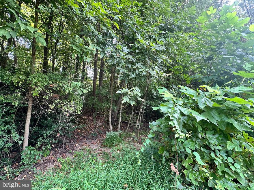 Located between Elkton and Chesapeake City next to the new development, Southfields of Elkton.  This 1.7 acre lot has mature trees and the option of dividing into two lots.  The parcel is recorded on the final plat for Lynnhaven Acres as lots 3 & 4.  It is close to local amenities yet offering a sense of remote privacy.  It is located in the county and not in the city limits of Elkton. There has not been a perk or well approval.   Please call for additional information.