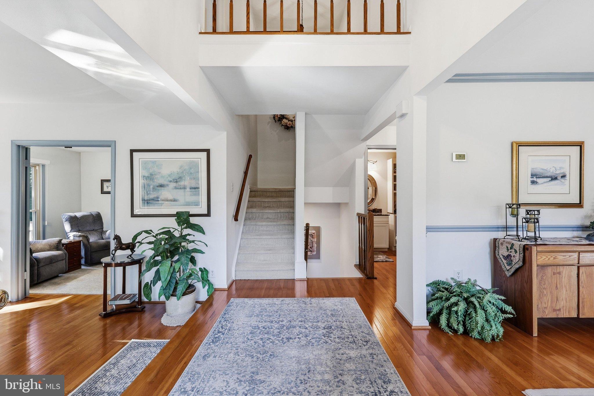 11411 ORCHARD GREEN COURT