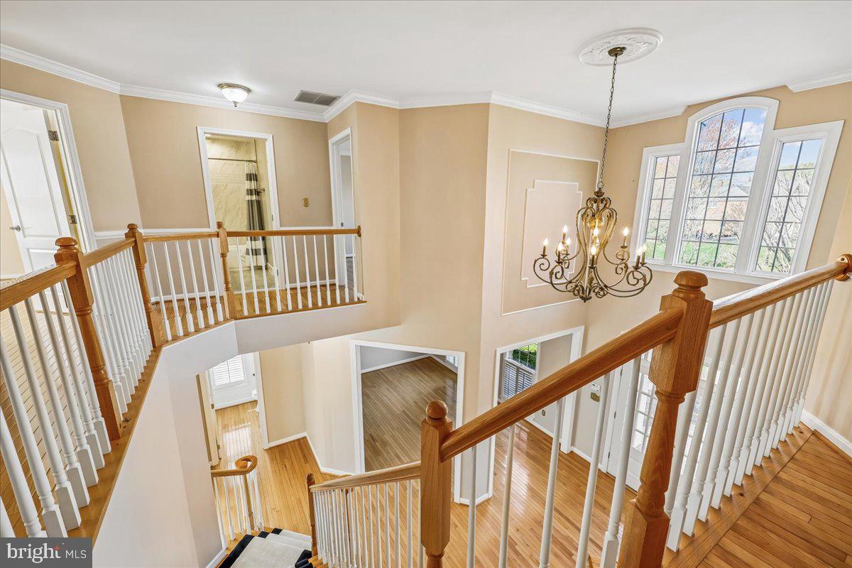 ROLLINMEAD - Residential