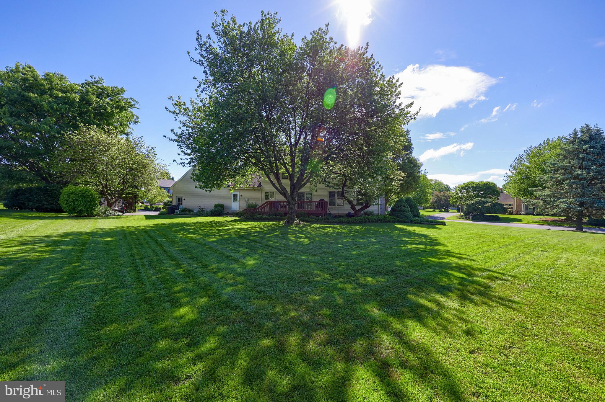 BUCKFIELD - Residential