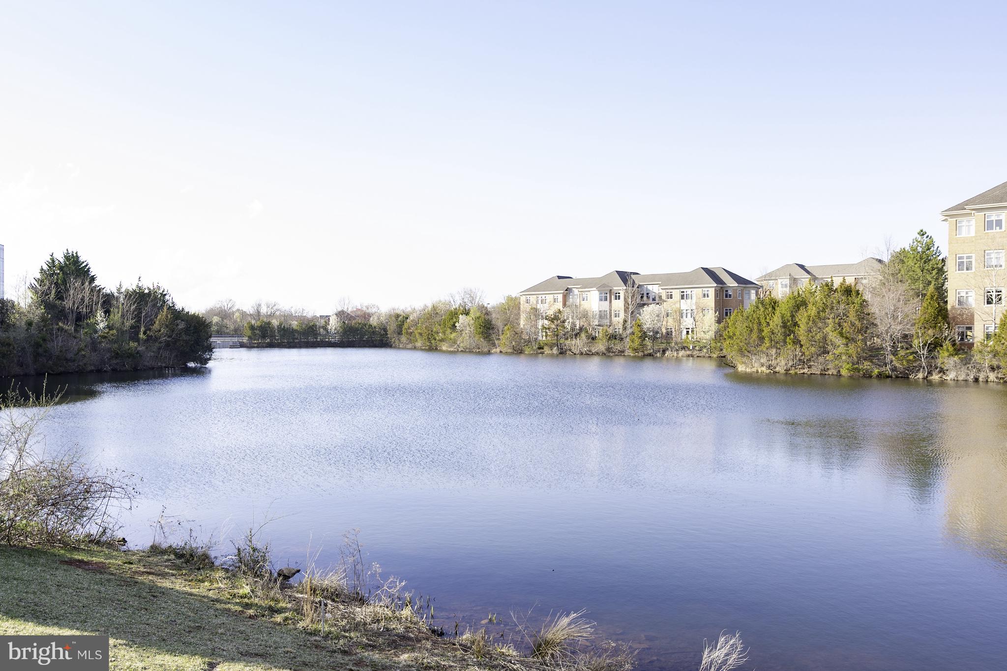 POTOMAC LAKES - Residential