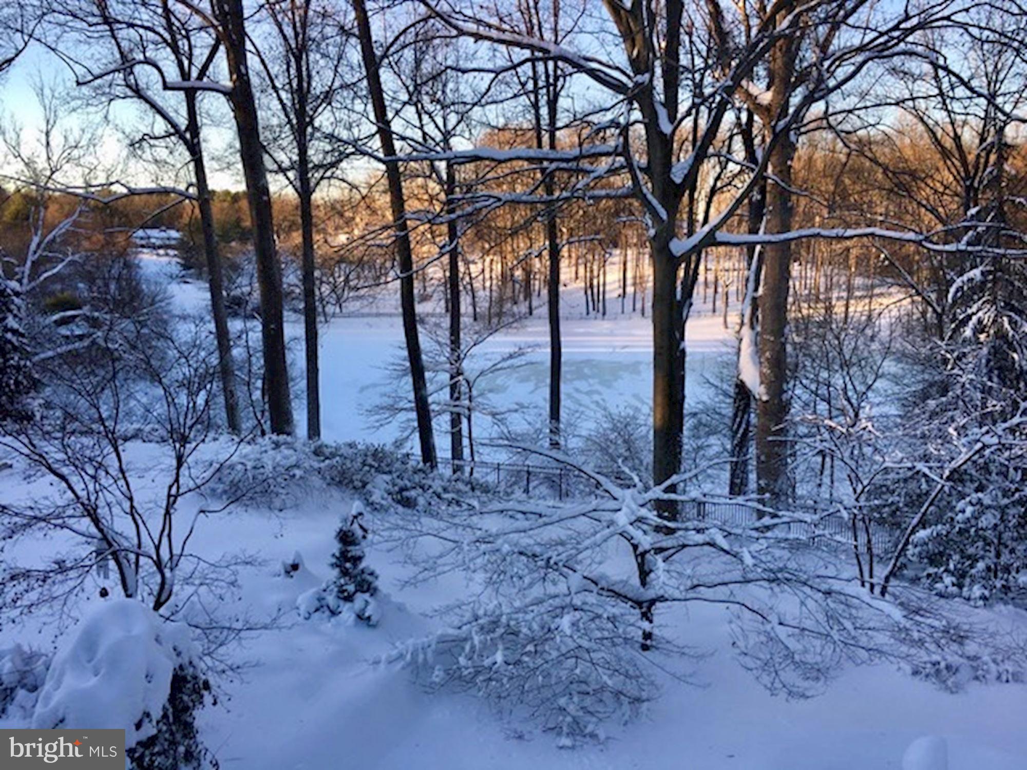 GREAT FALLS ESTATES - Residential