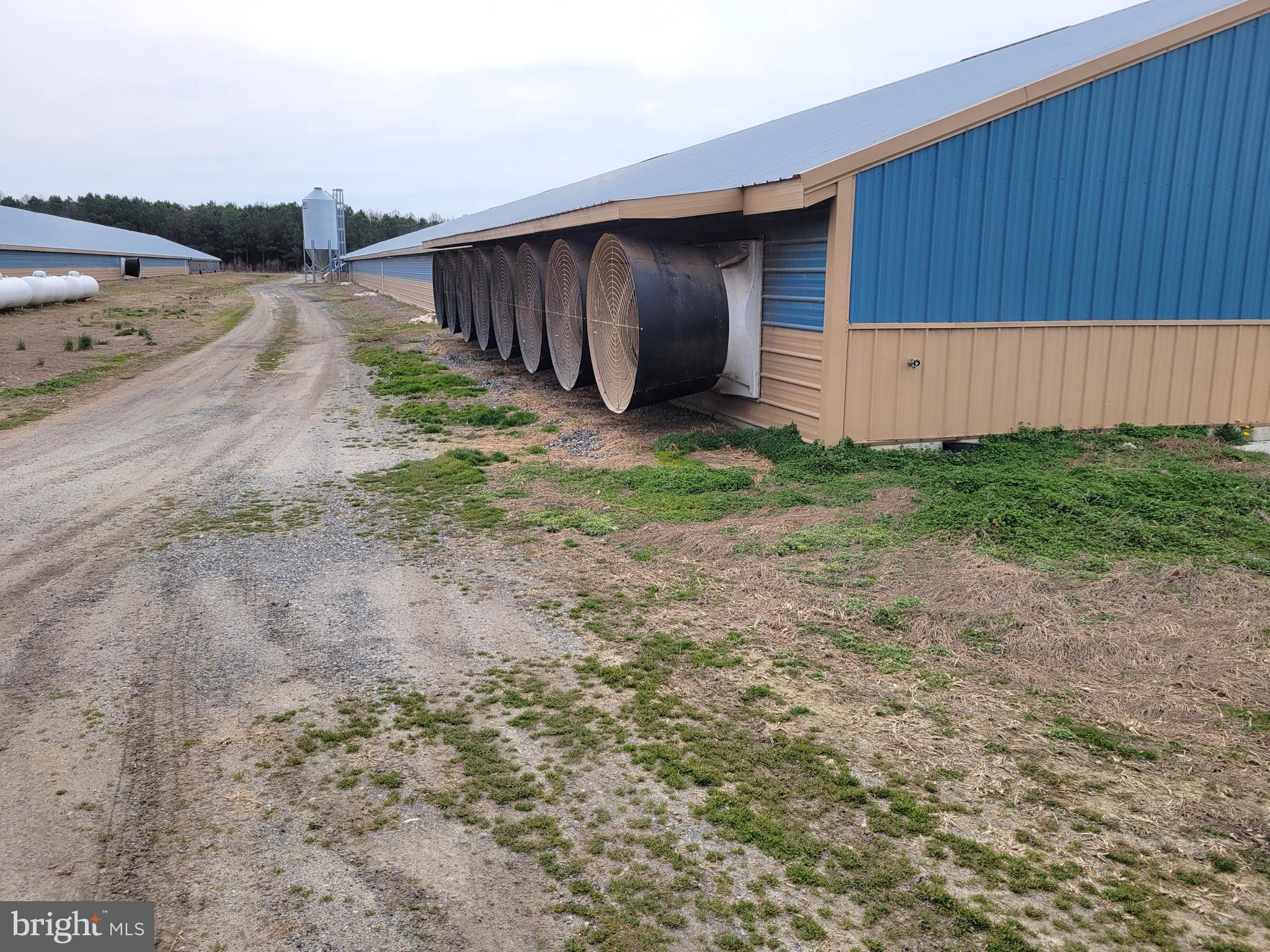 NONE AVAILABLE - Farm