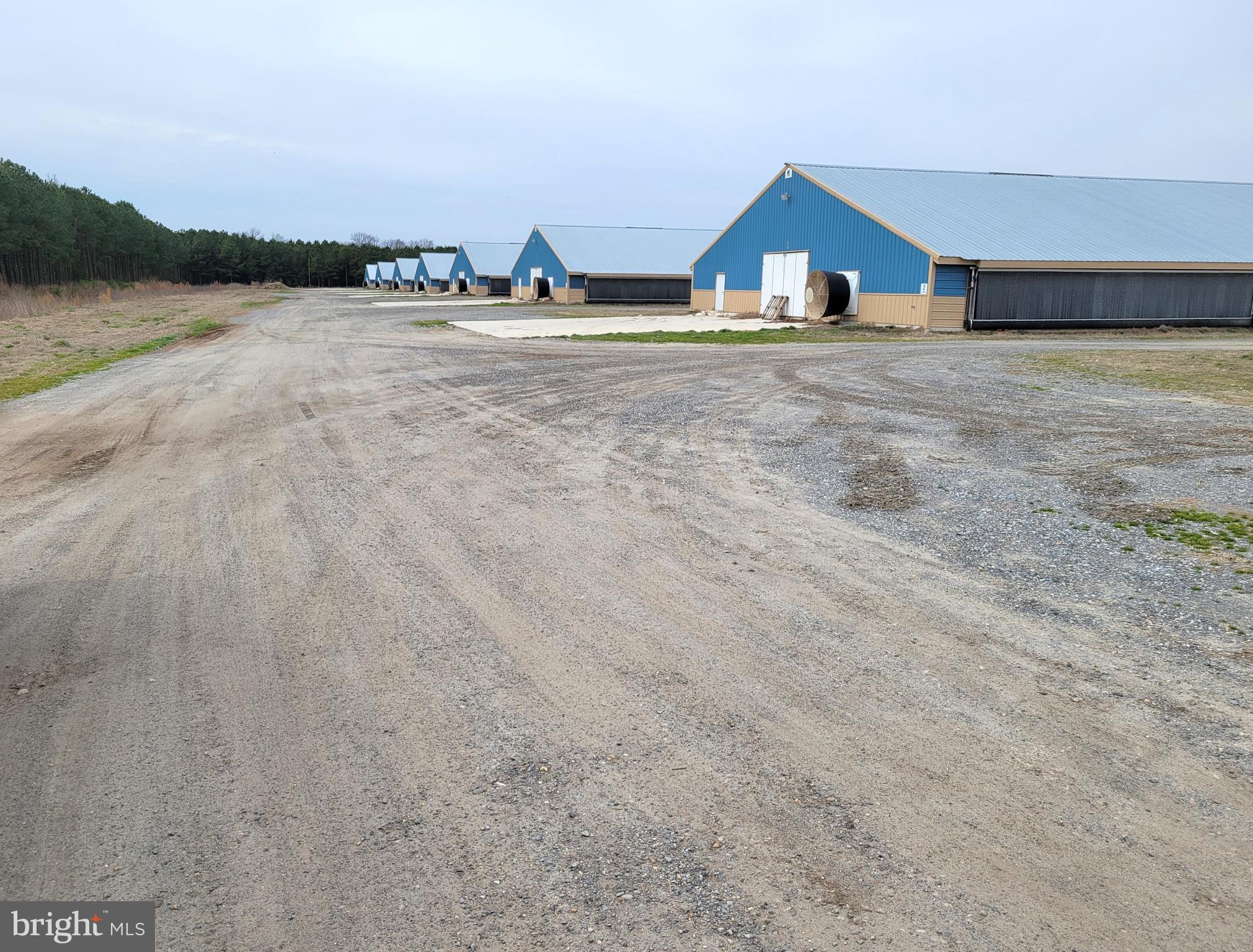 NONE AVAILABLE - Farm