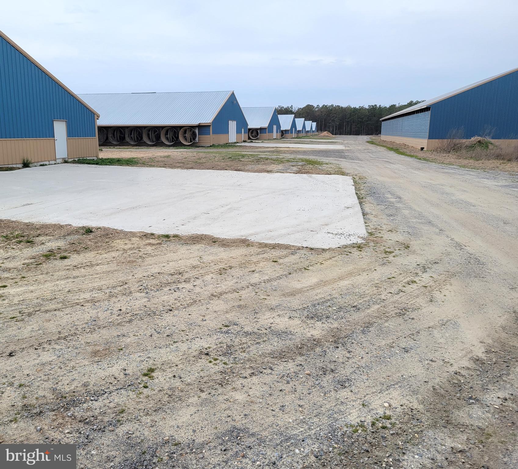 NONE AVAILABLE - Farm