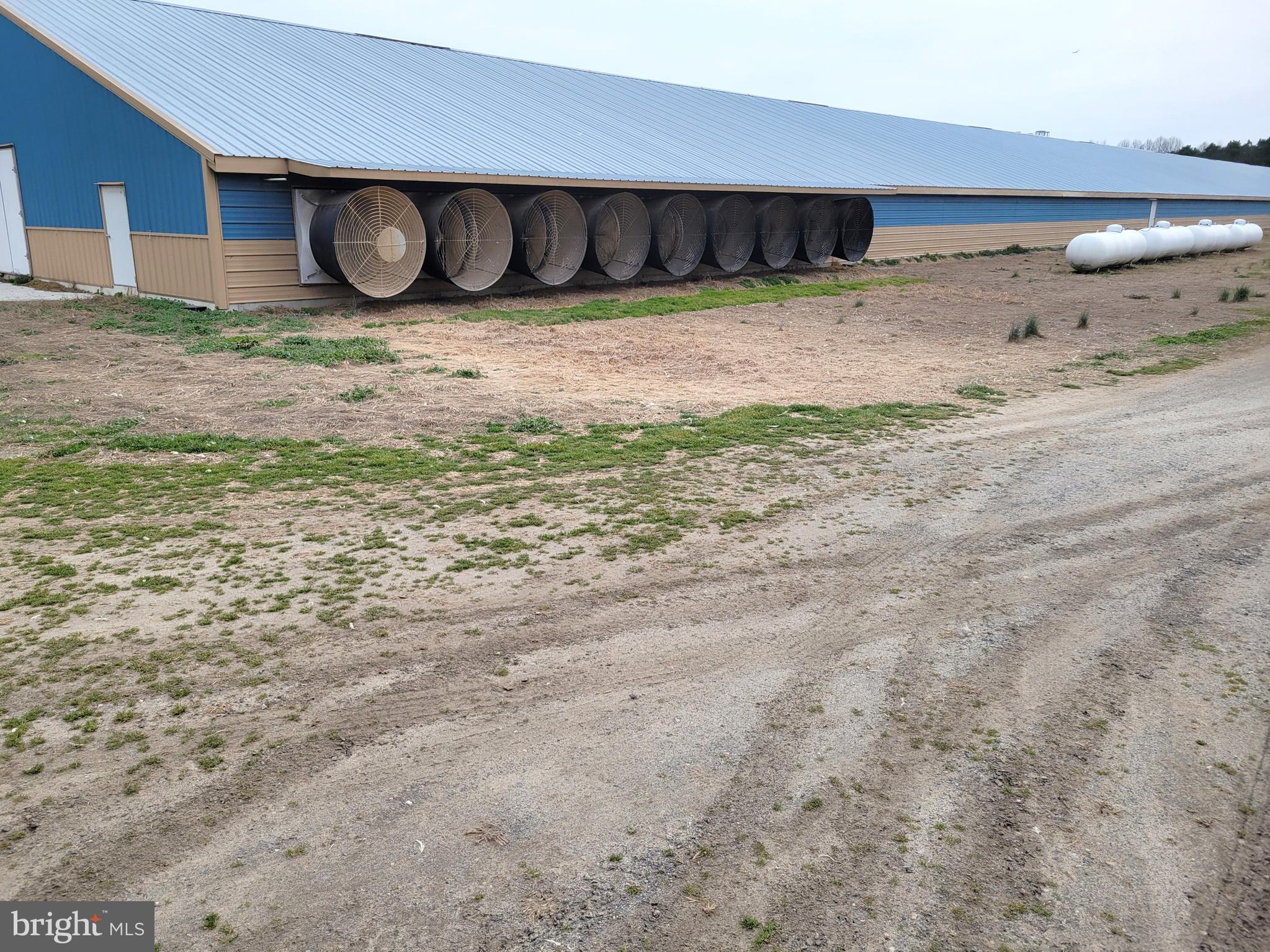 NONE AVAILABLE - Farm