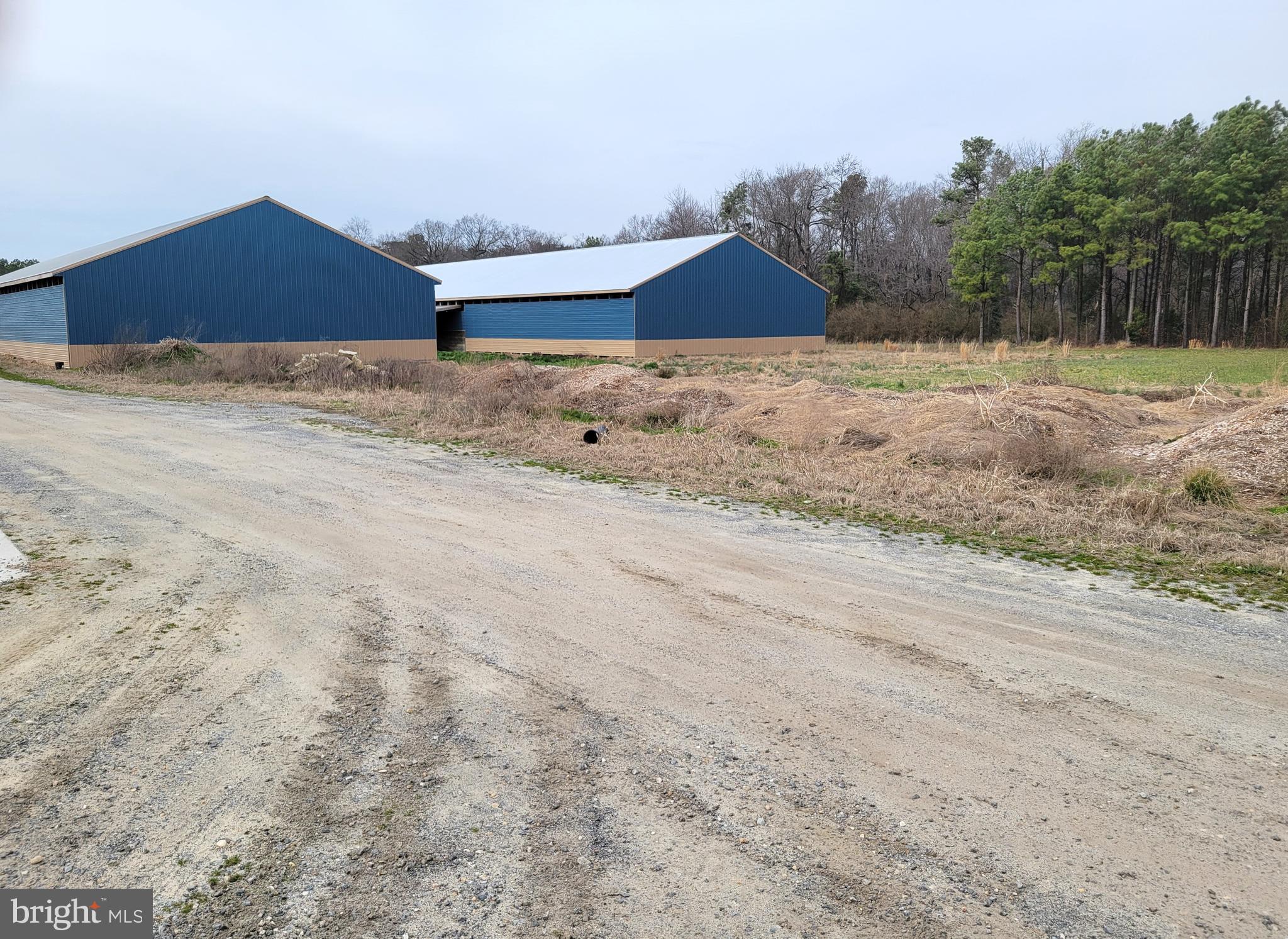 NONE AVAILABLE - Farm