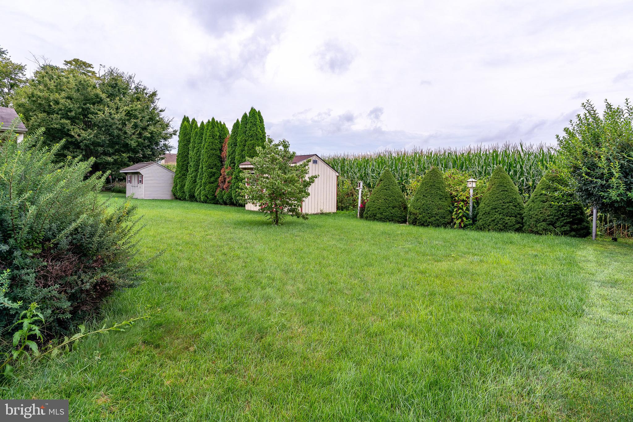 WILLOW CREEK/MT JOY - Residential