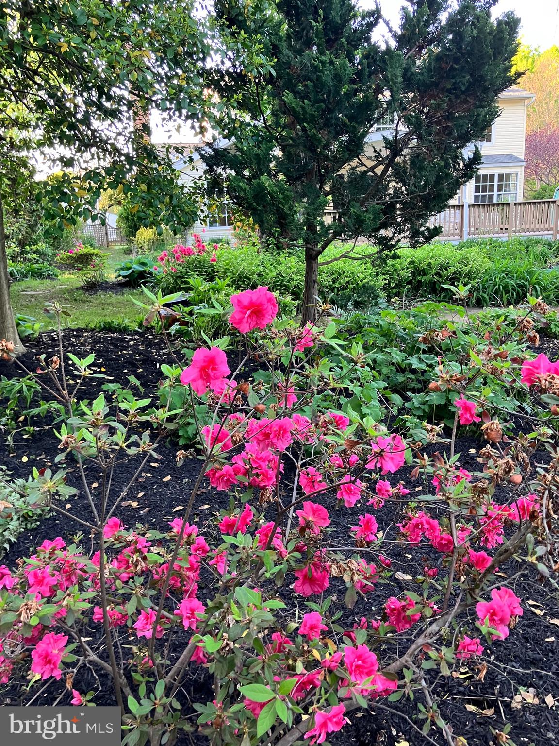 PEACHWOOD - Residential