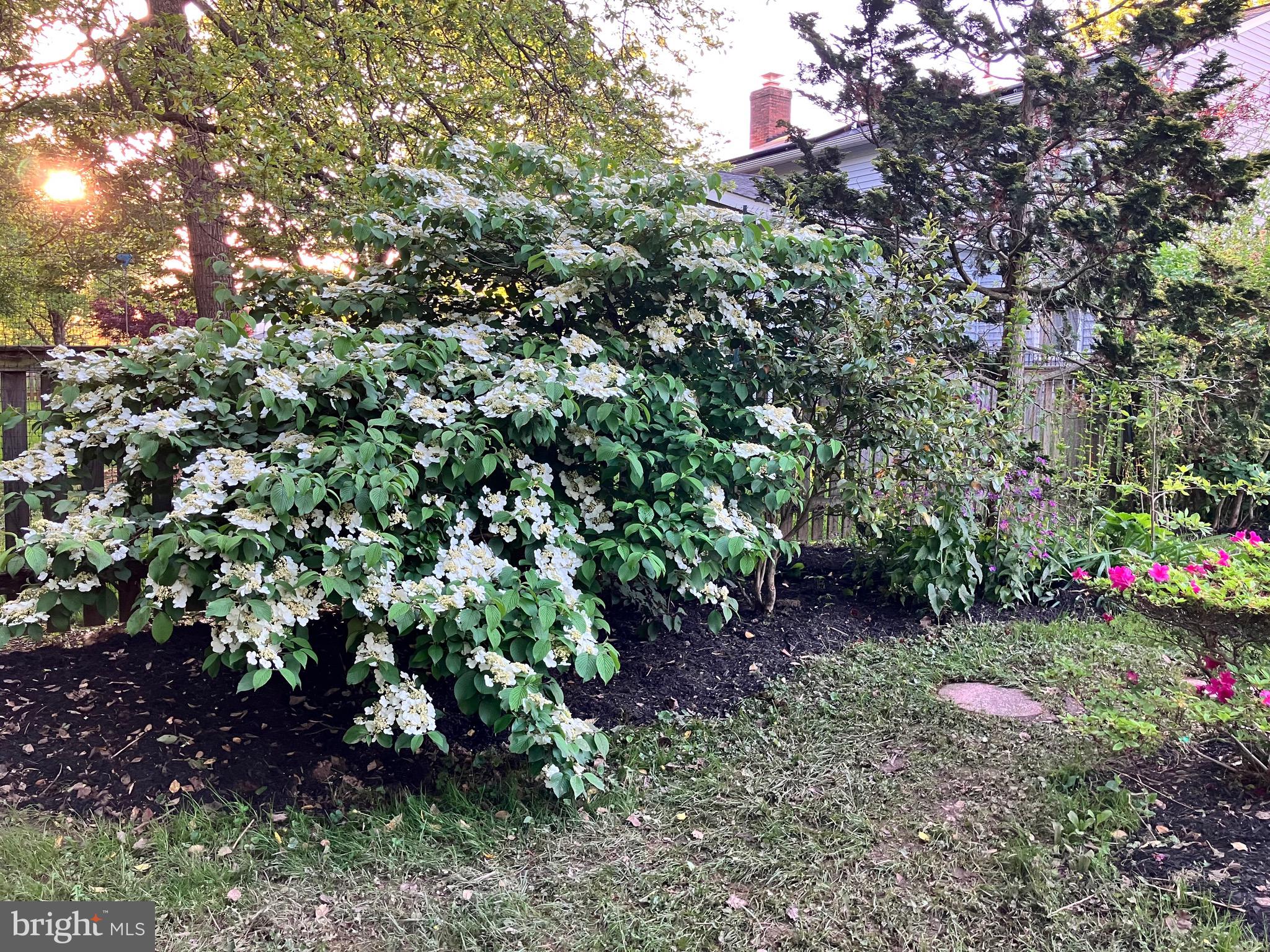 PEACHWOOD - Residential