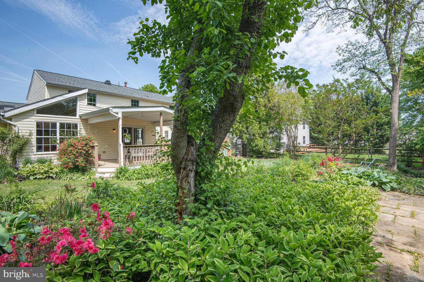 PEACHWOOD - Residential