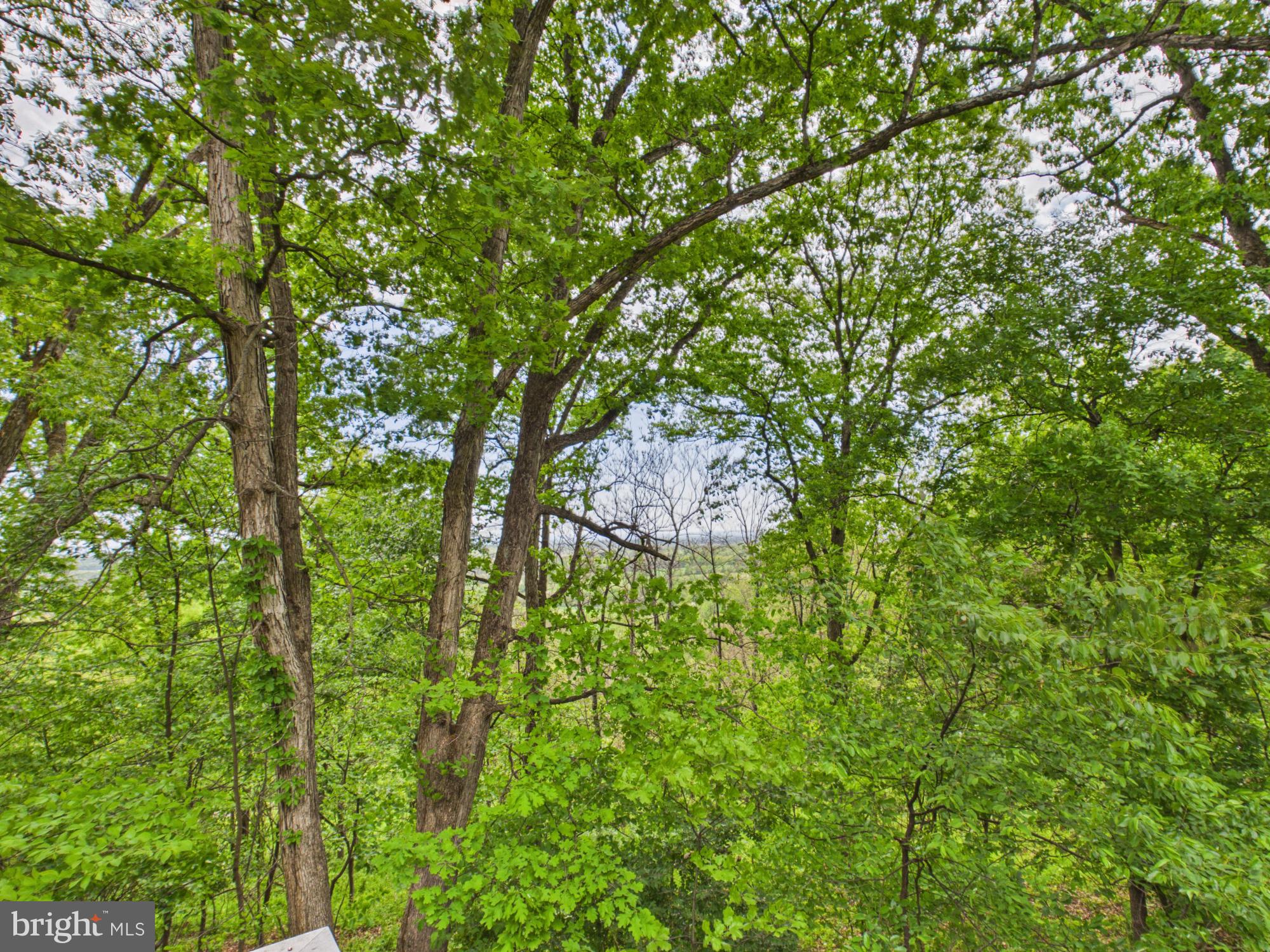 ELK BRANCH - Residential