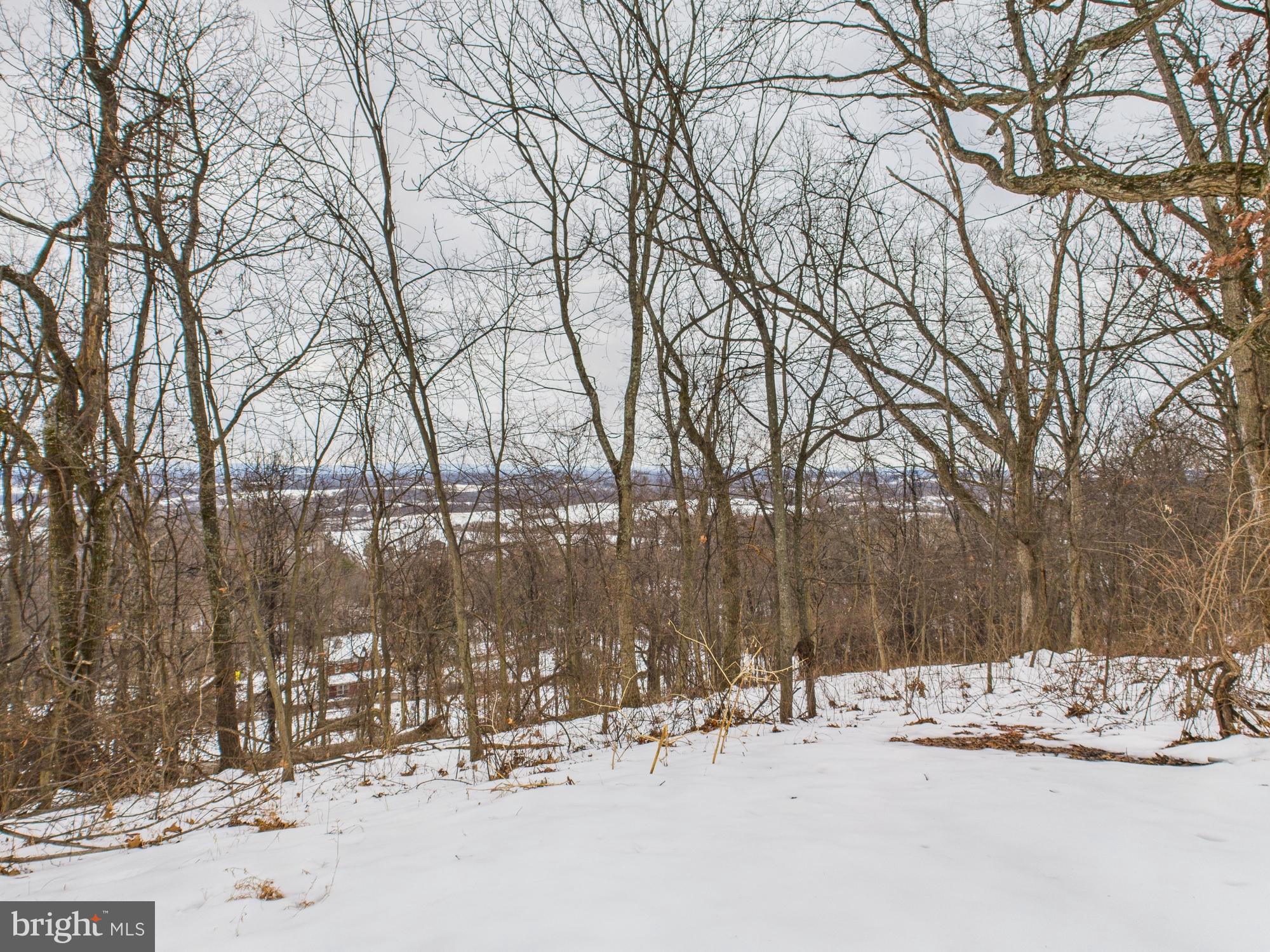 ELK BRANCH - Residential