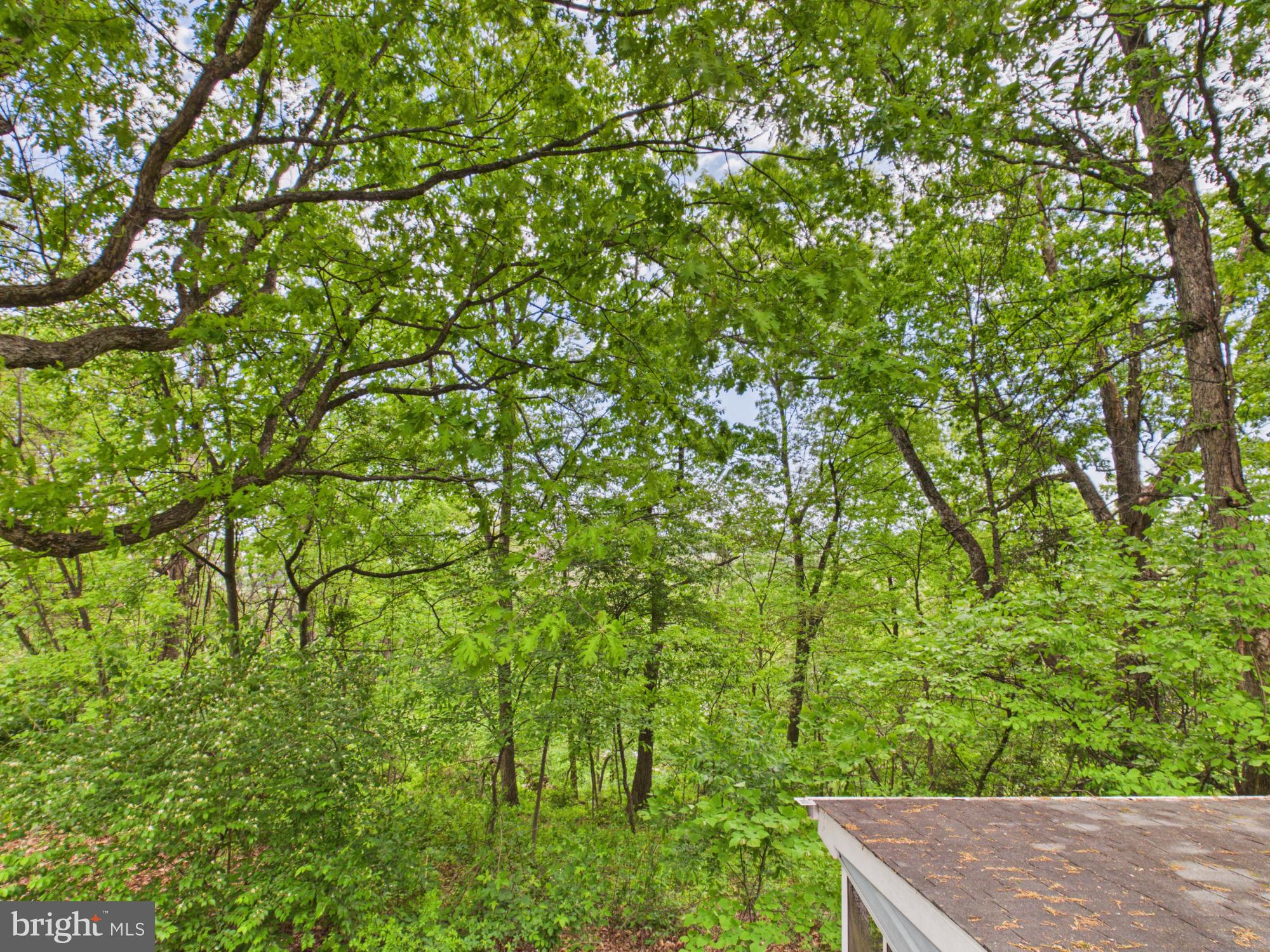 ELK BRANCH - Residential