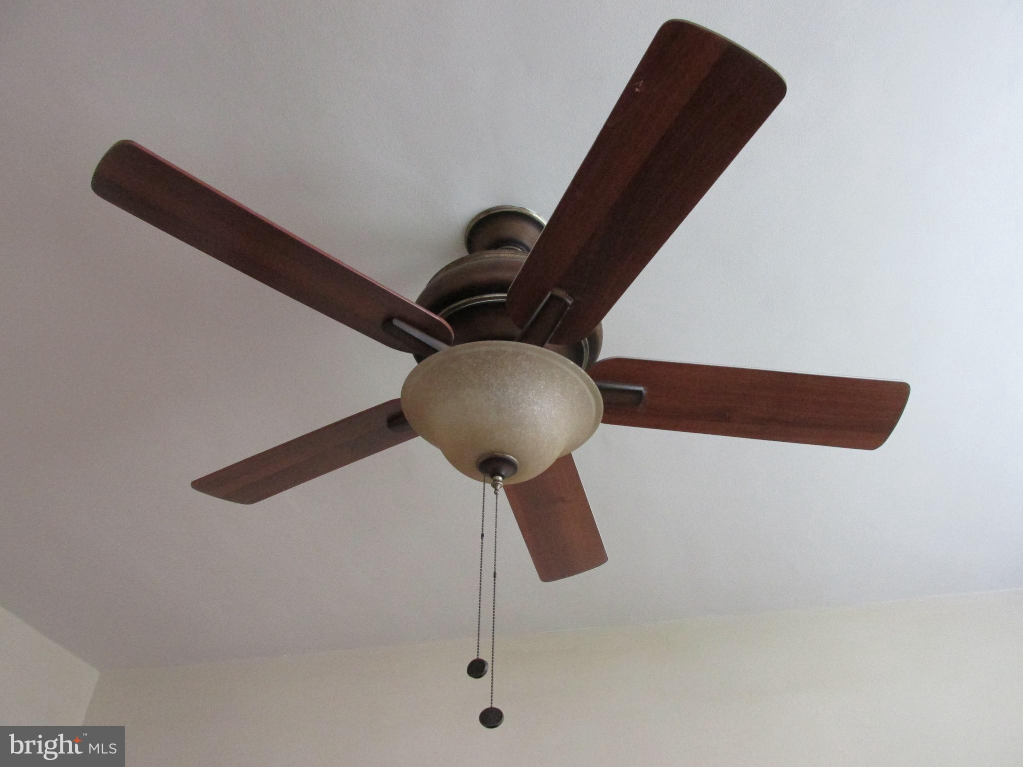 HALETHORPE - Residential Lease