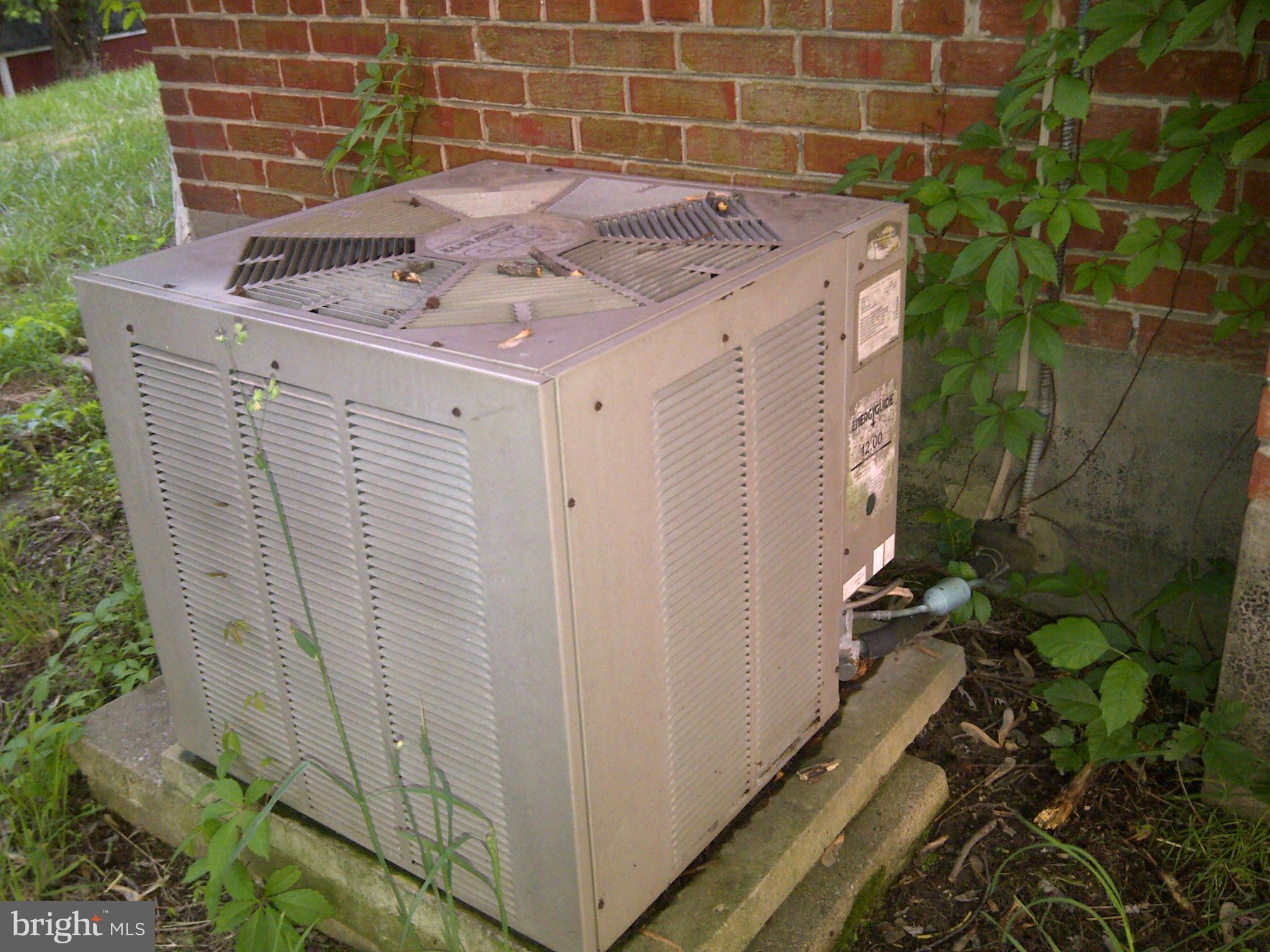 CHESTNUT HILLS - Residential