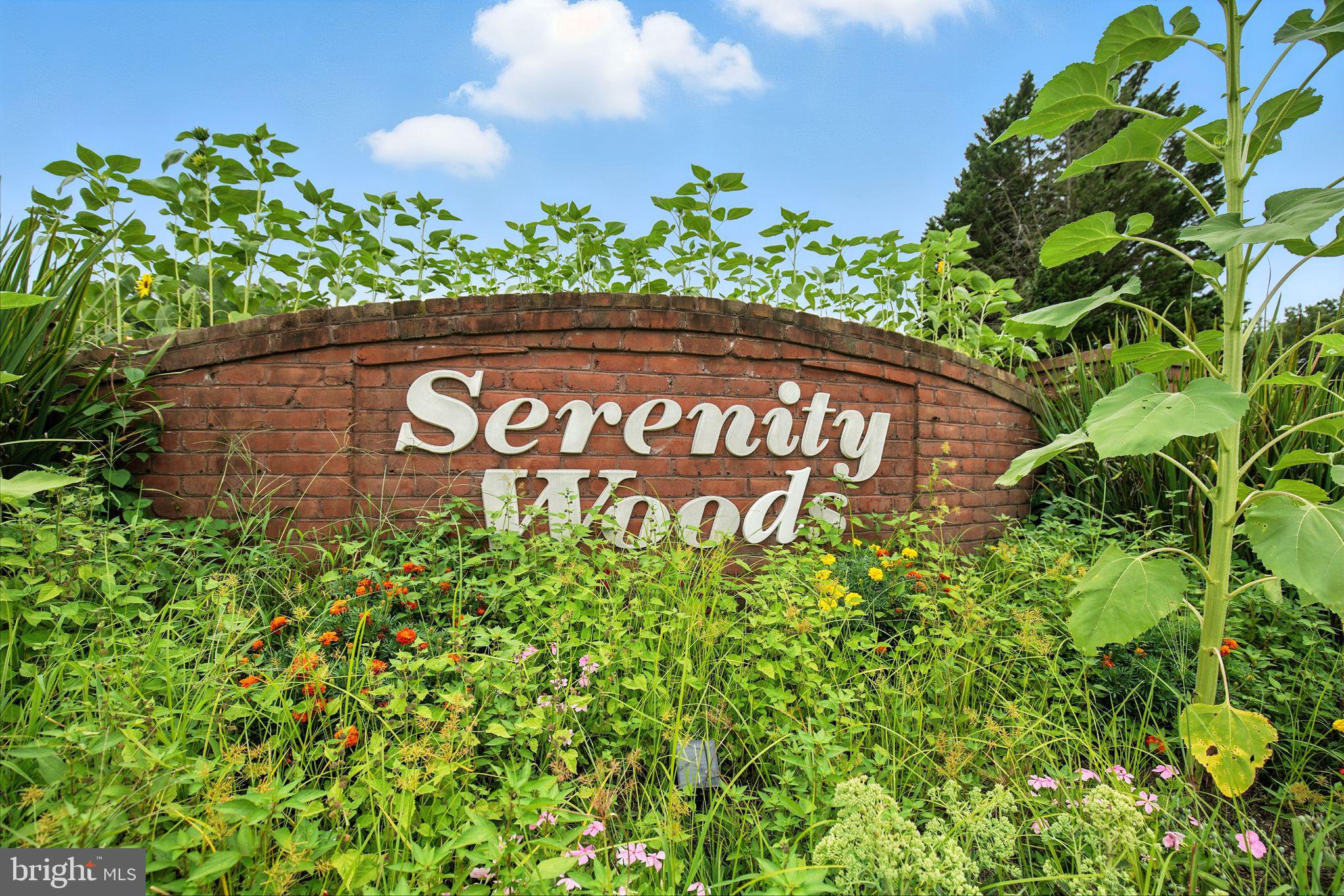 SERENITY WOODS SUB - Residential