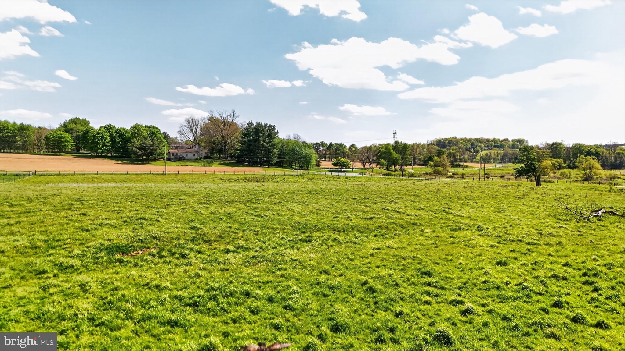 1599 SANCTUARY ROAD