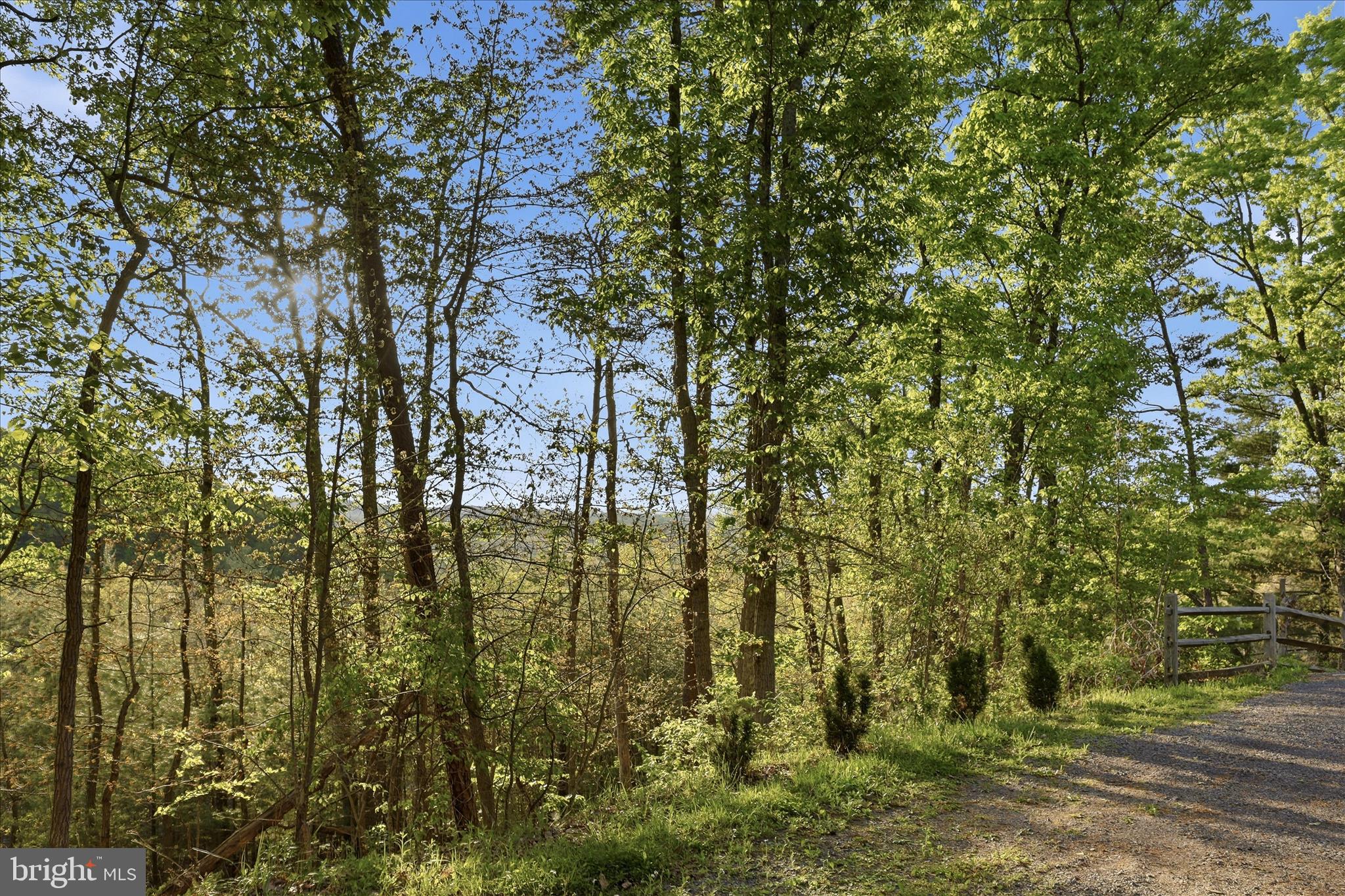 SHEN FARMS CHAIN SPRING - Residential