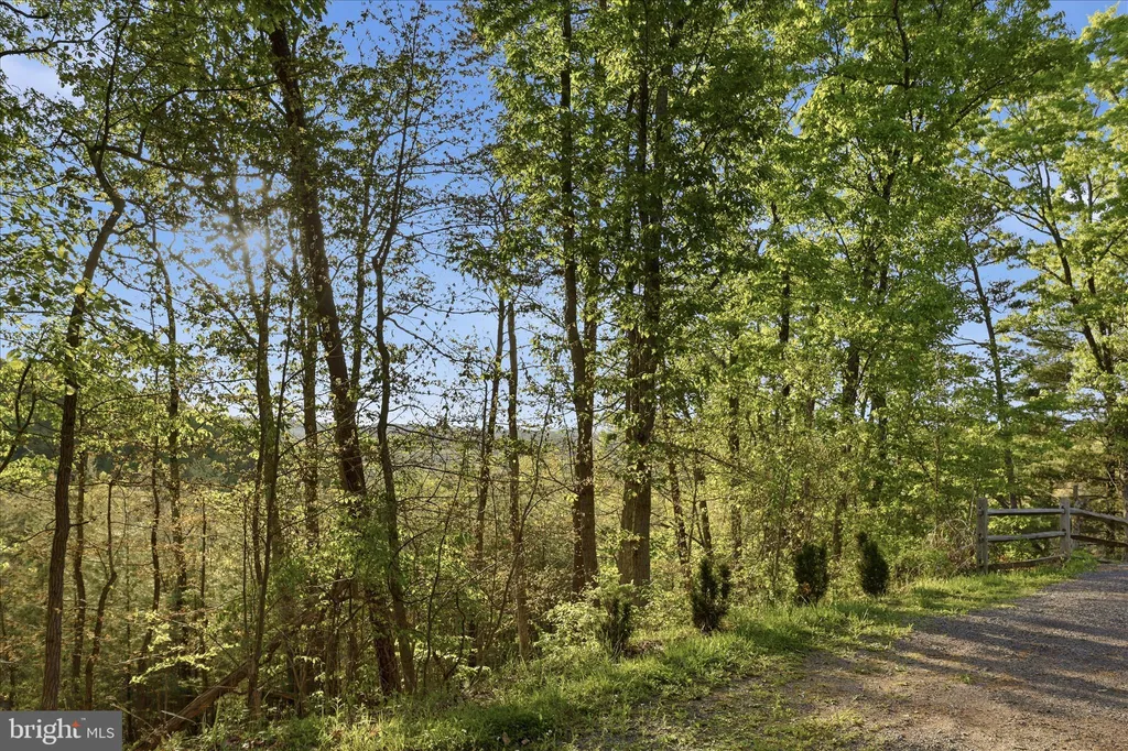 Additional image 44 of 142 Spring Hollow Road, Front Royal, VA 22630