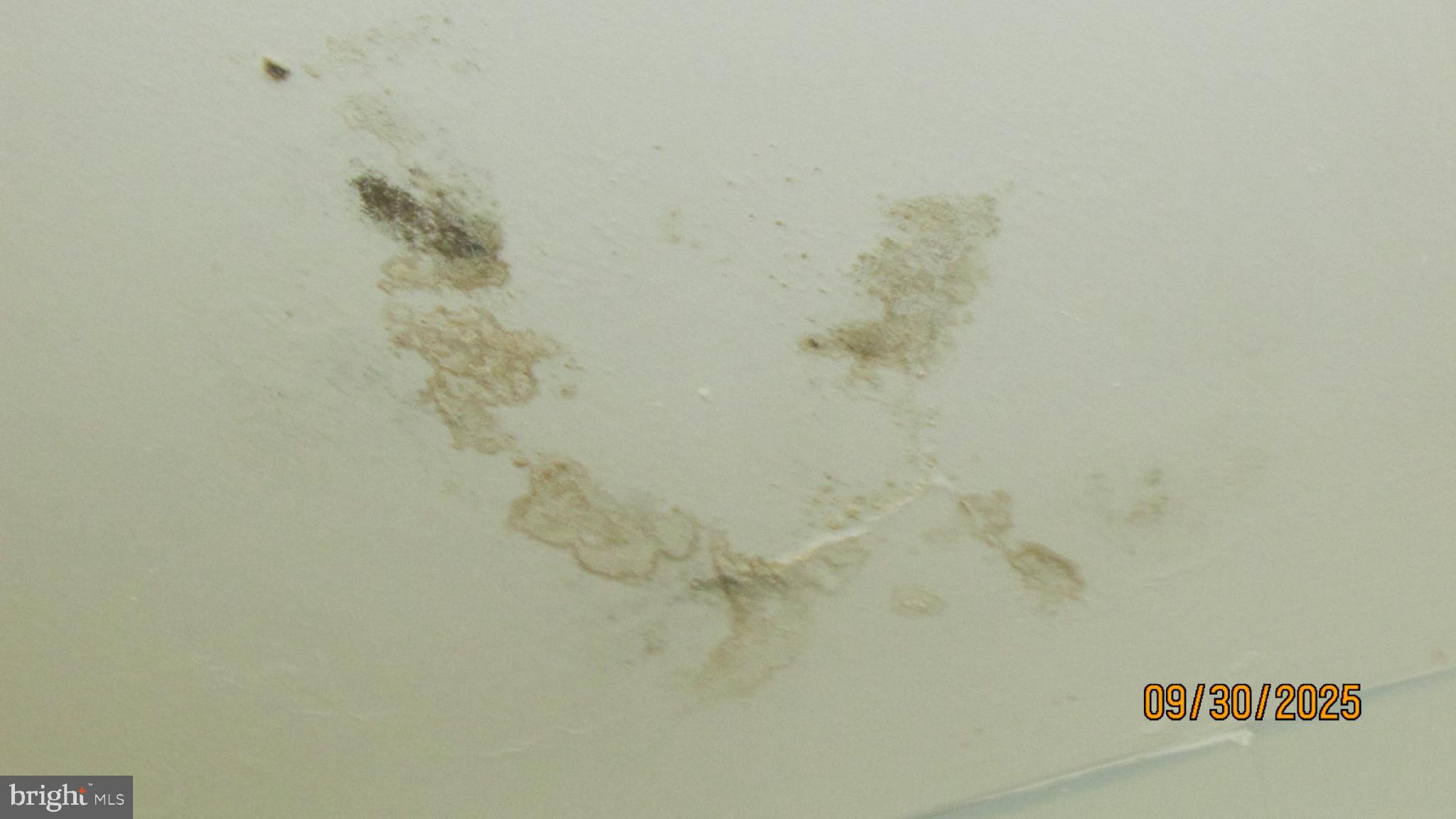 COLLEGE PARK - Residential