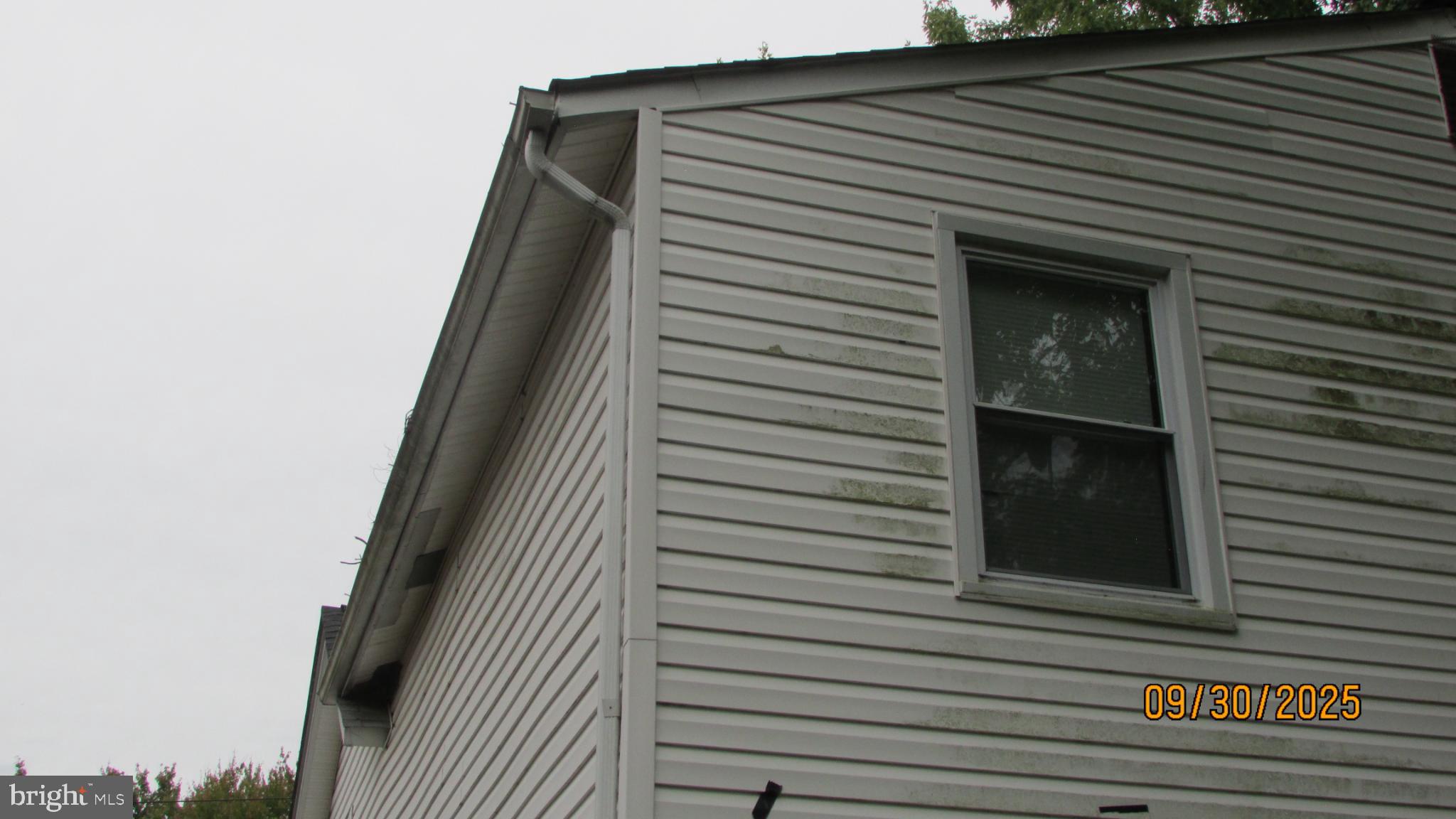 COLLEGE PARK - Residential