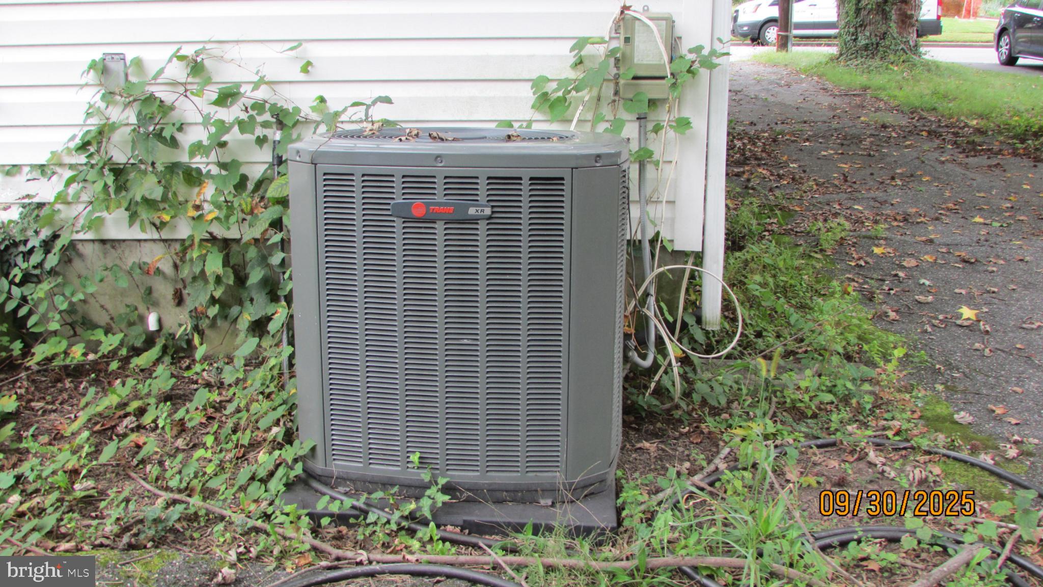 COLLEGE PARK - Residential