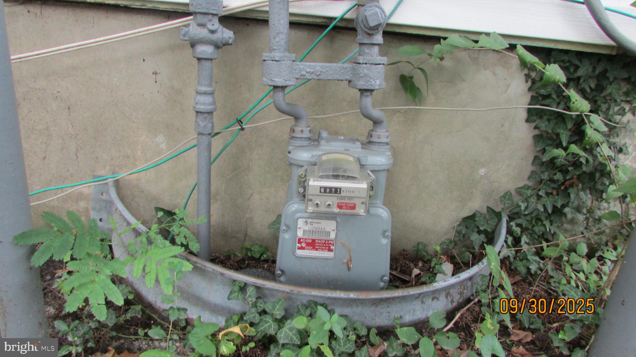 COLLEGE PARK - Residential