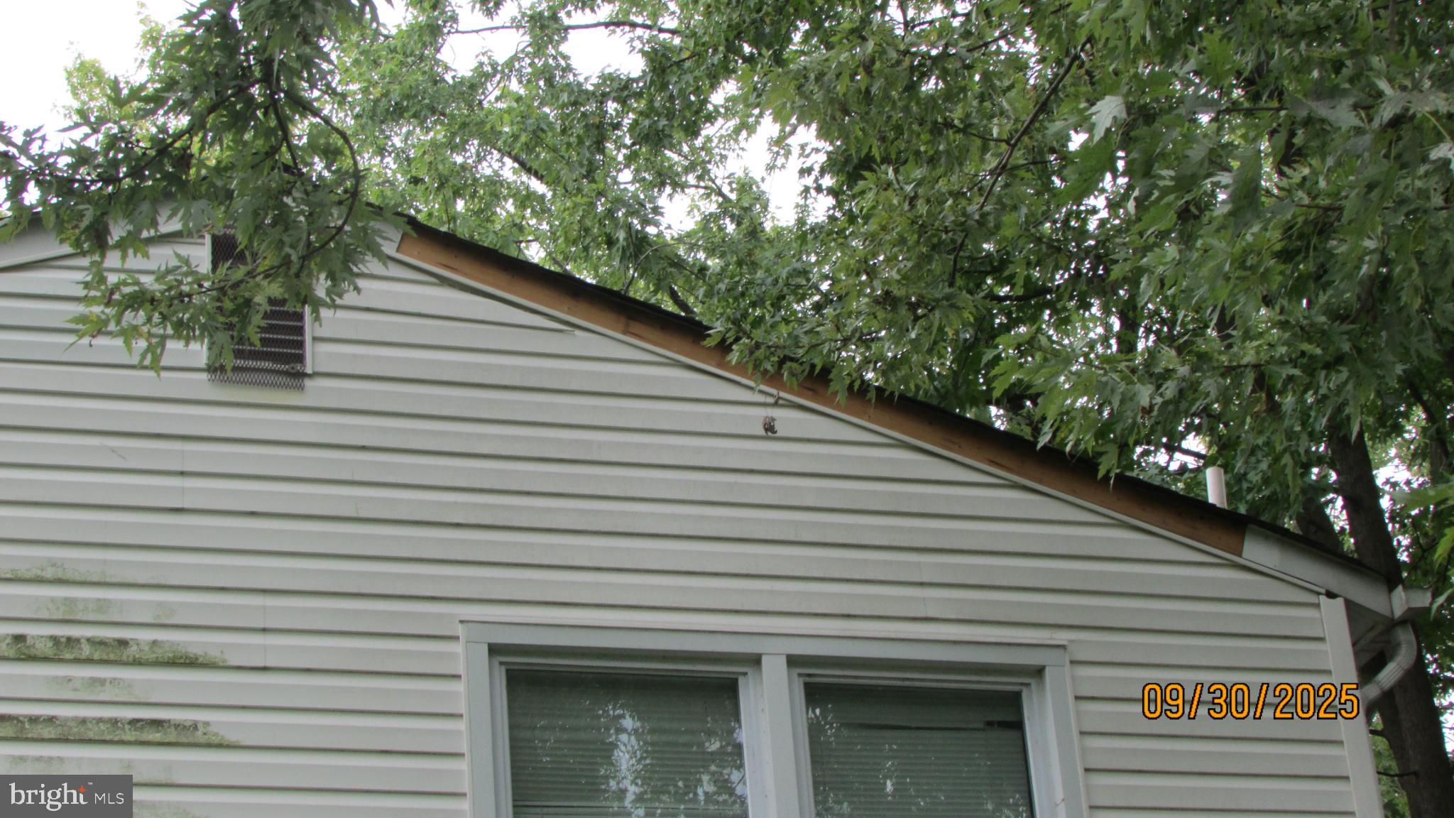 COLLEGE PARK - Residential