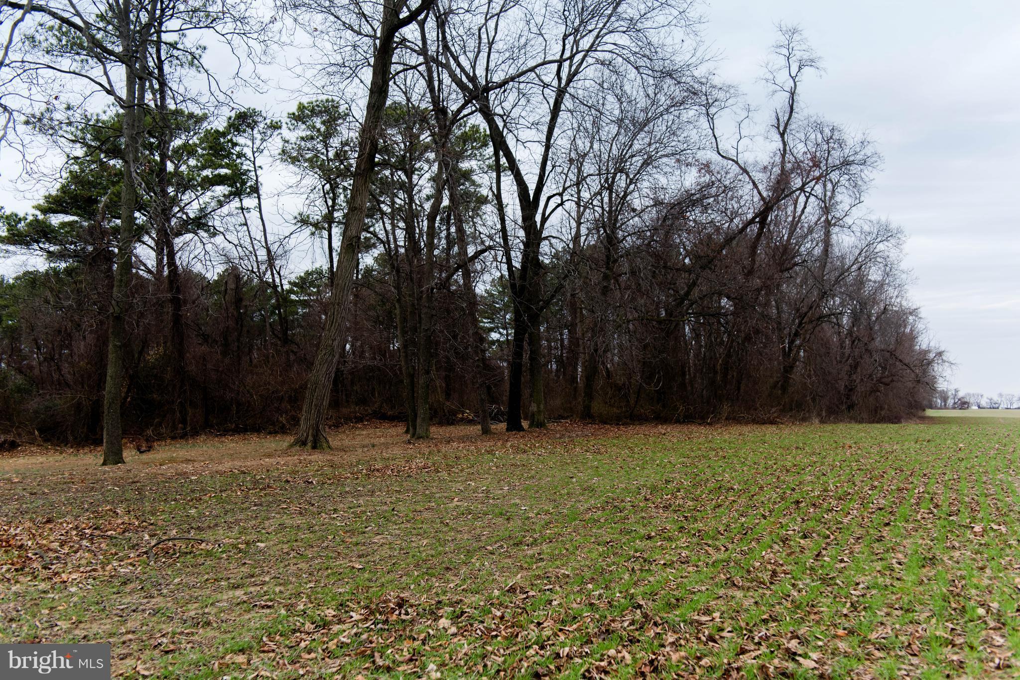 CHESTERTOWN - Residential