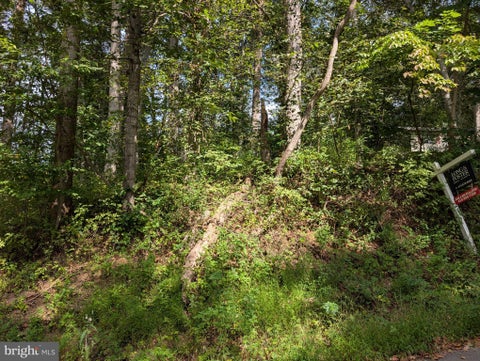 Vacant Land For Sale - LOTS 126-127 Codjus Drive<br/> RISING SUN, MD 21911