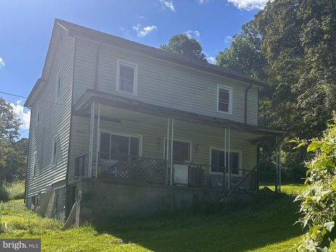 20628 WATER STATION RUN ROAD SW LONACONING MD 21539