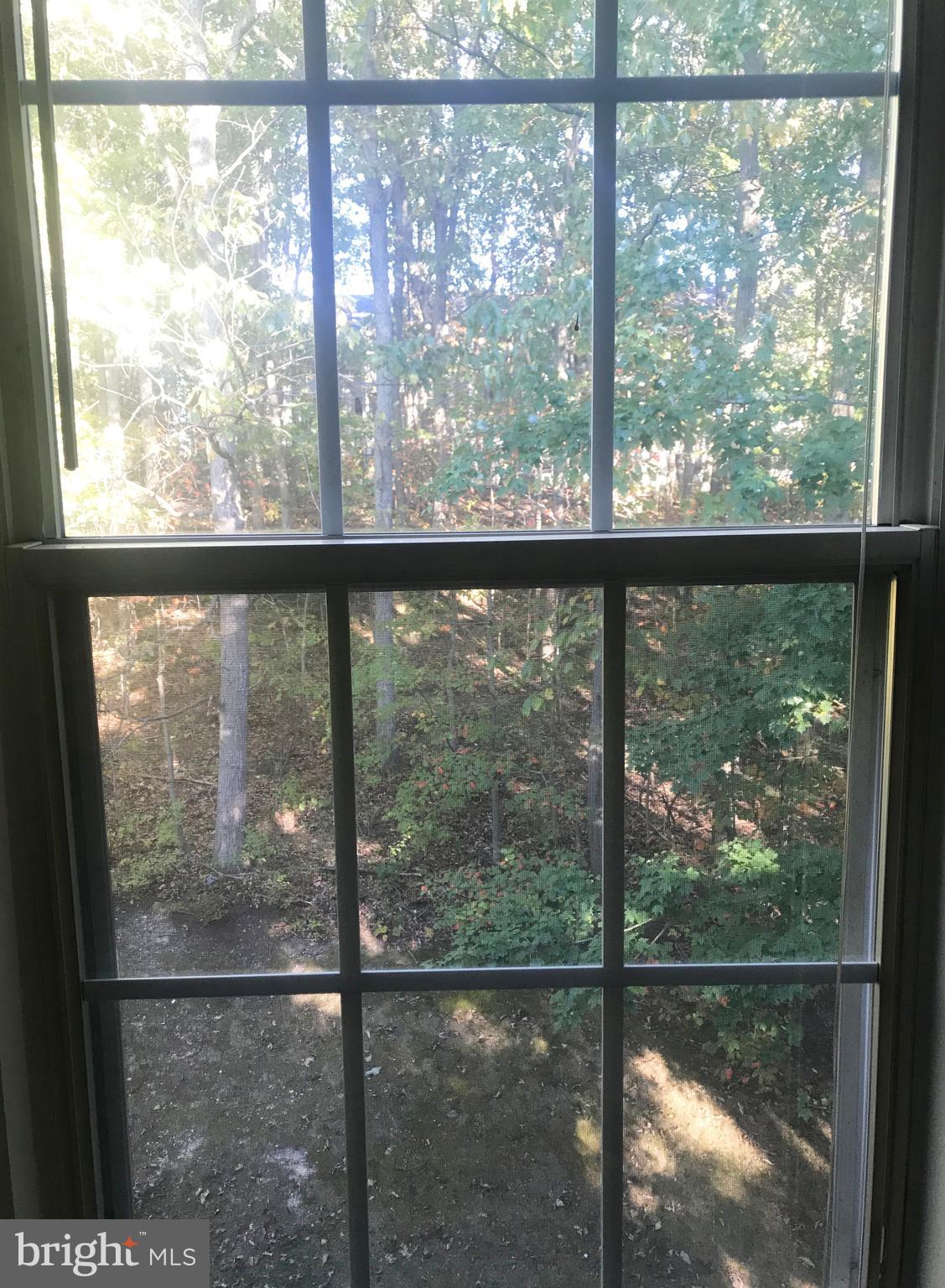 WOODBRIDGE CENTER - Residential