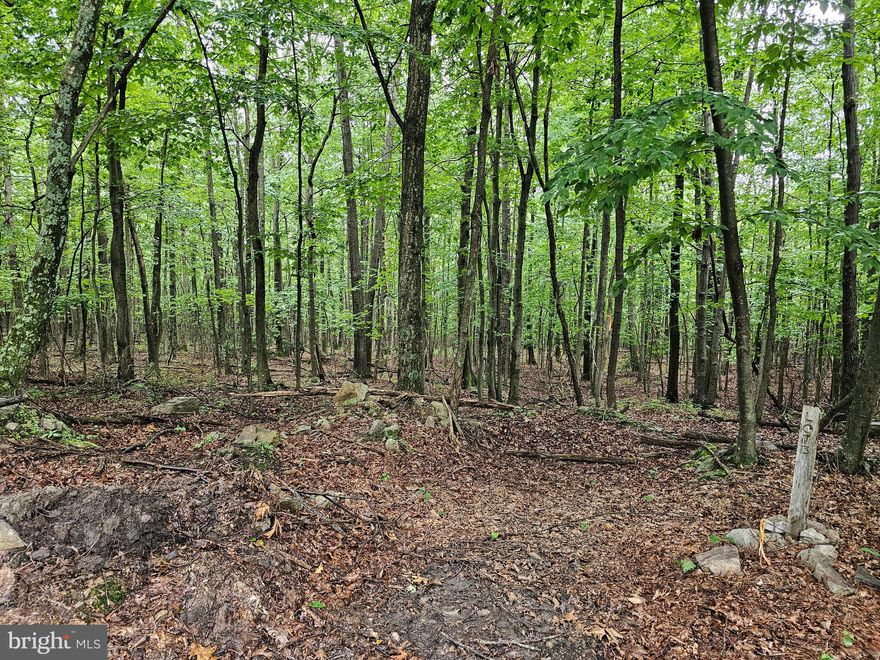 6.19 wooded acres-Lot 29 of the Spruce Pine Hollow Subdivision just waiting for the new owners to make their very own mountain retreat or full time residence!   Very gentle sloping lot on the mountain top.  Lot was  perc approved on 2013 by the county and permit needs to be renewed.  Electric service available to the property with electric lines/poles running parallel to the front of the lot.  Located about an half hour drive from Interstate 81, within a few hours of DC/VA/Baltimore and lots of popular destinations in West Virginia/Virginia.