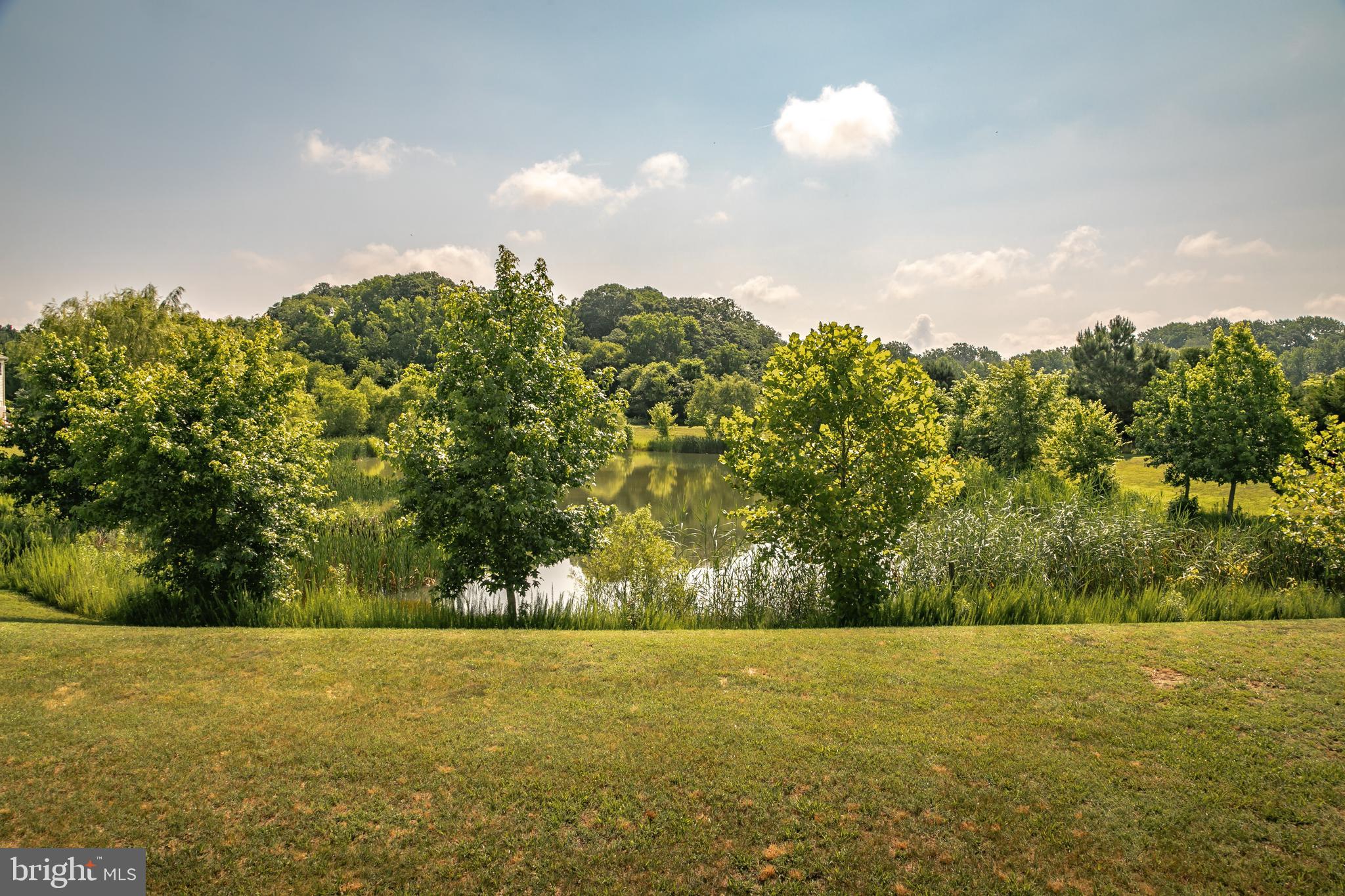 CEDAR COMMONS - Residential