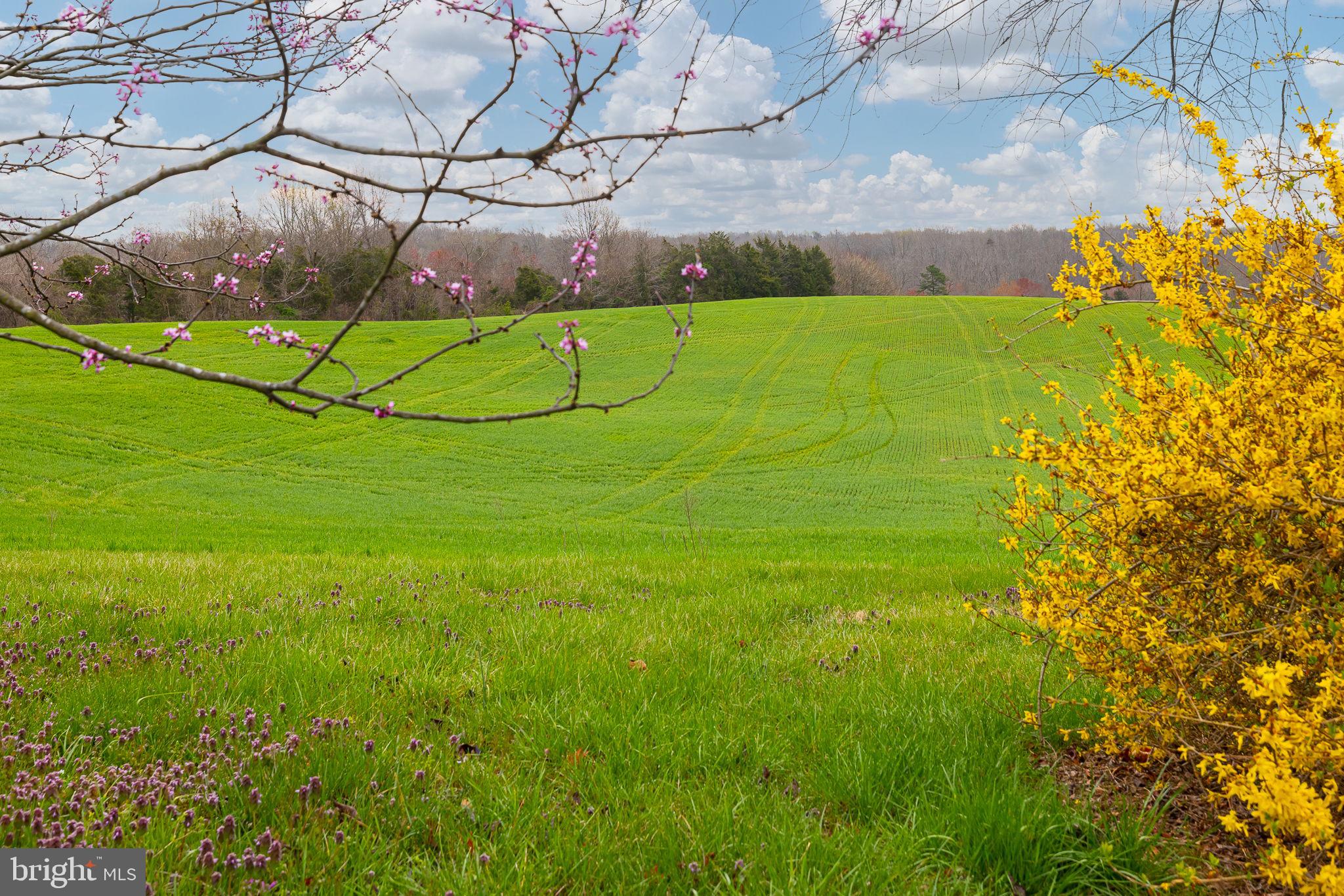 DUCKINGHOLE CREEK - Residential