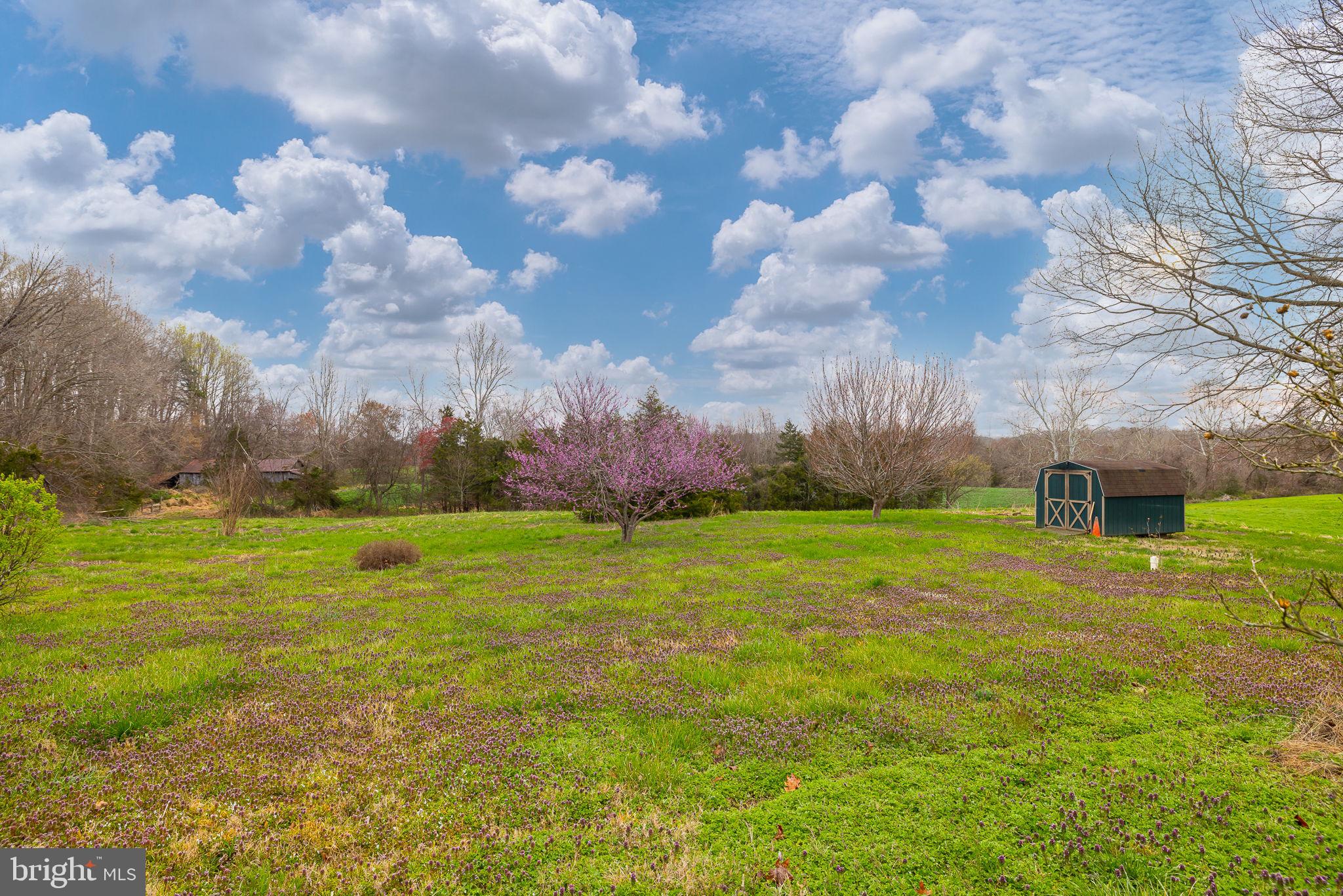 DUCKINGHOLE CREEK - Residential