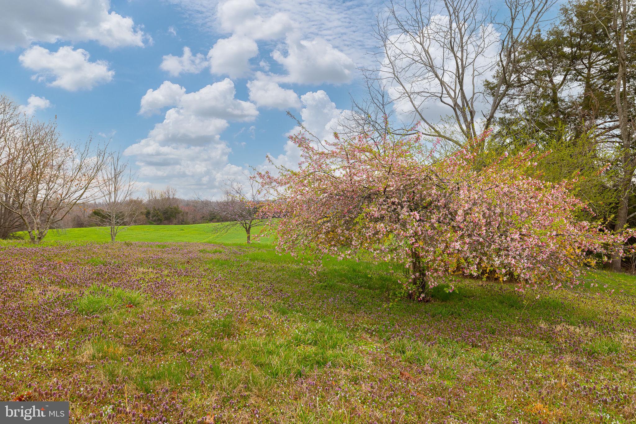 DUCKINGHOLE CREEK - Residential